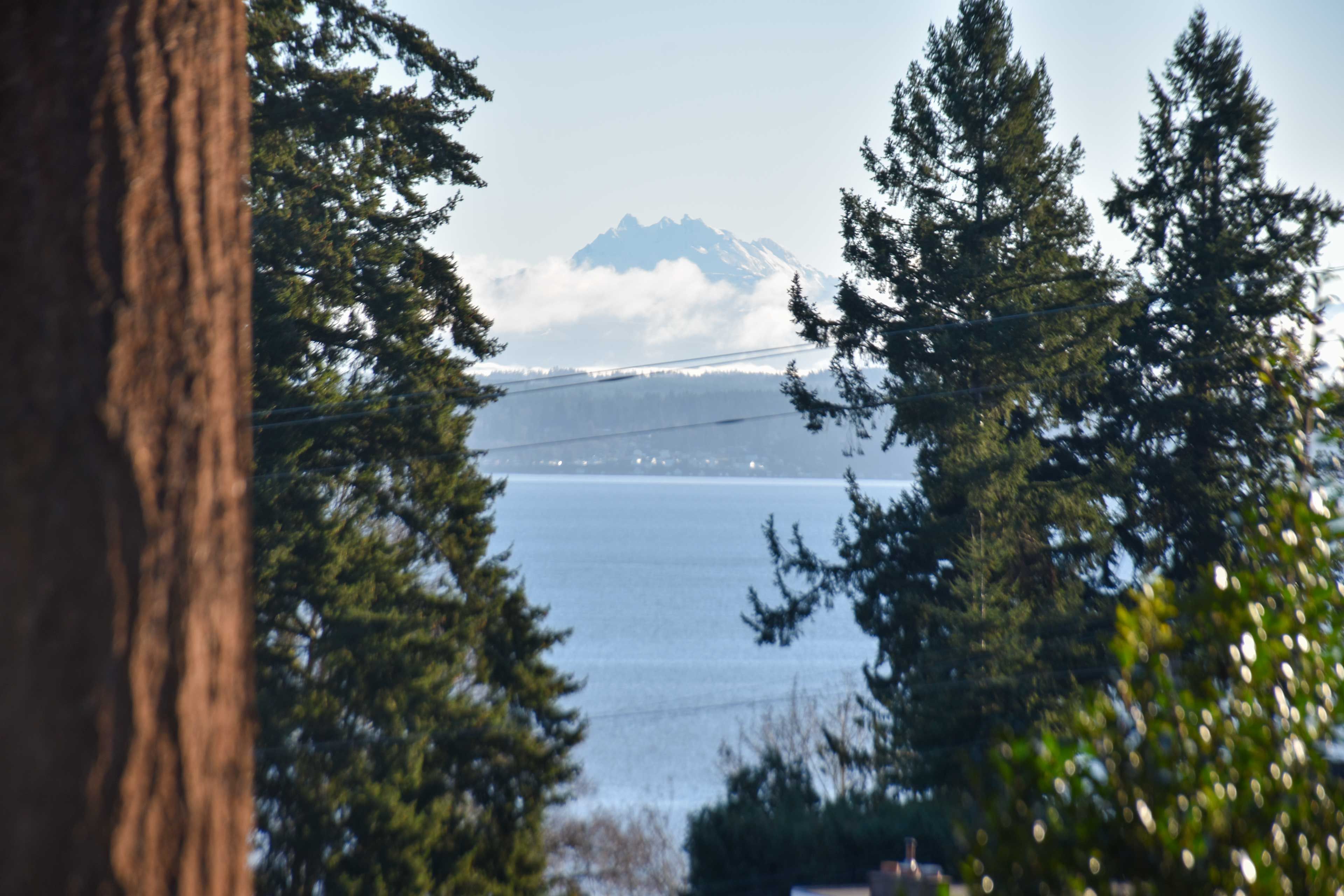 Mountain Views