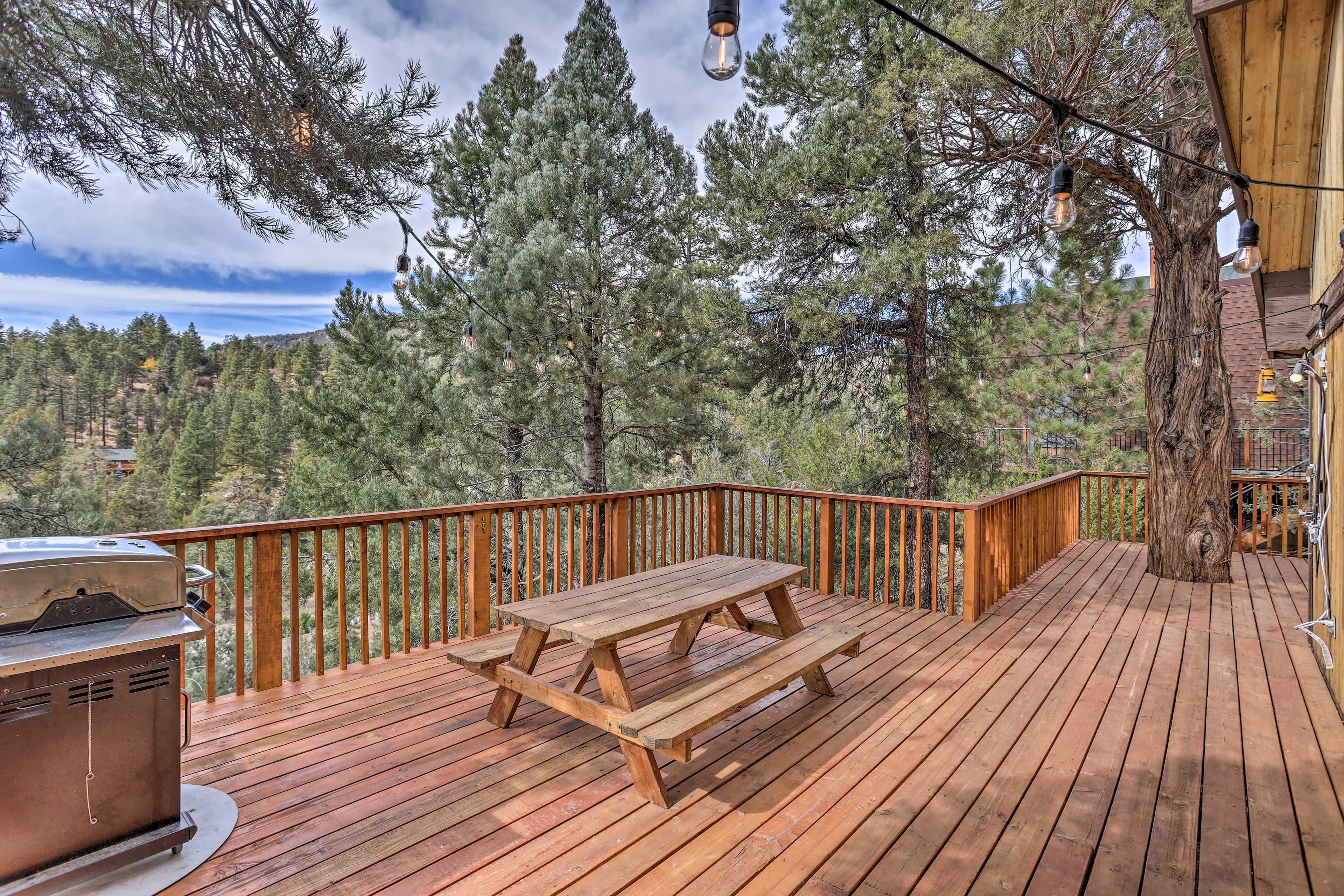 Deck | Gas Grill
