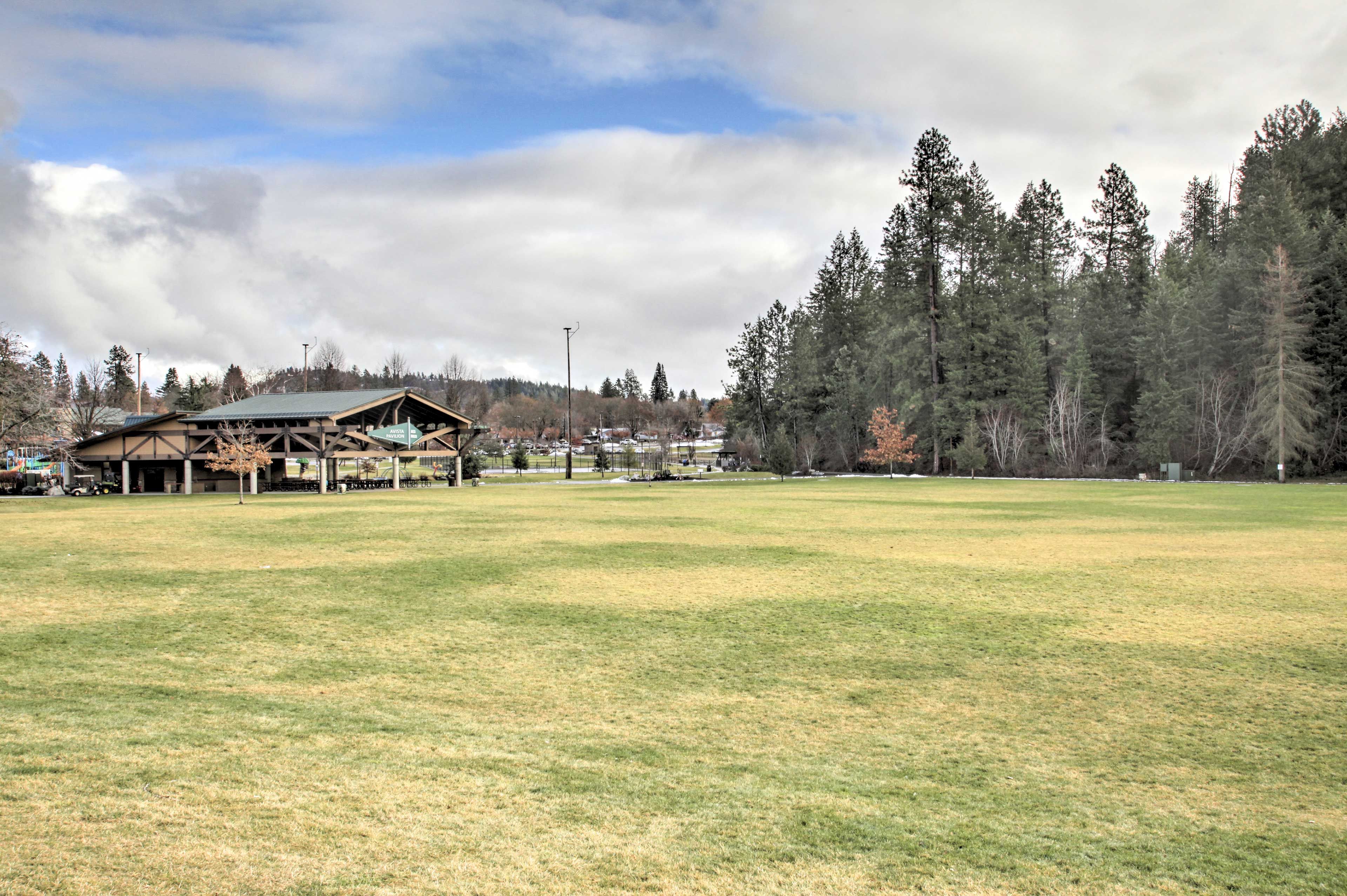 Local Attraction | McEuen Park