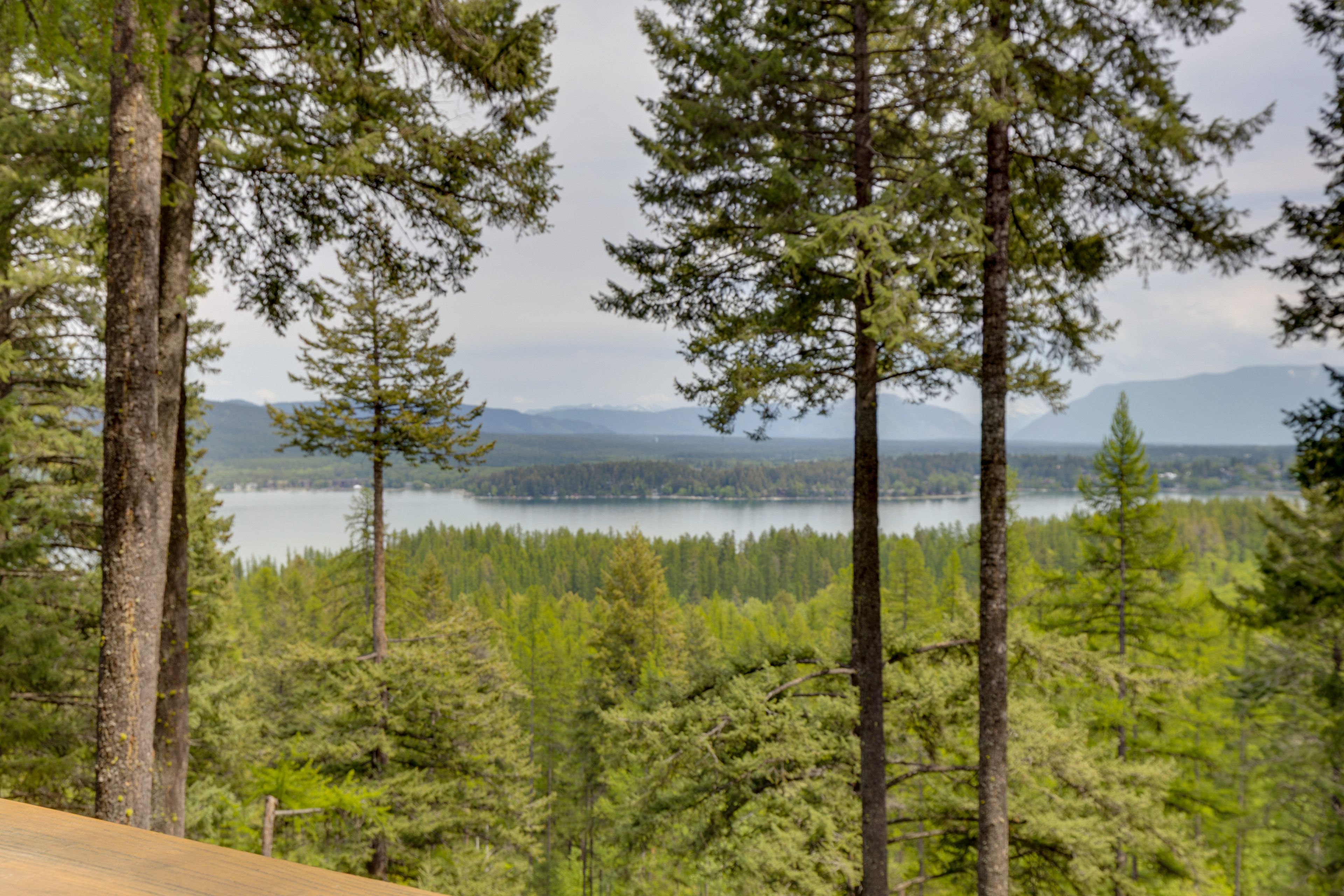 Whitefish Lake Views