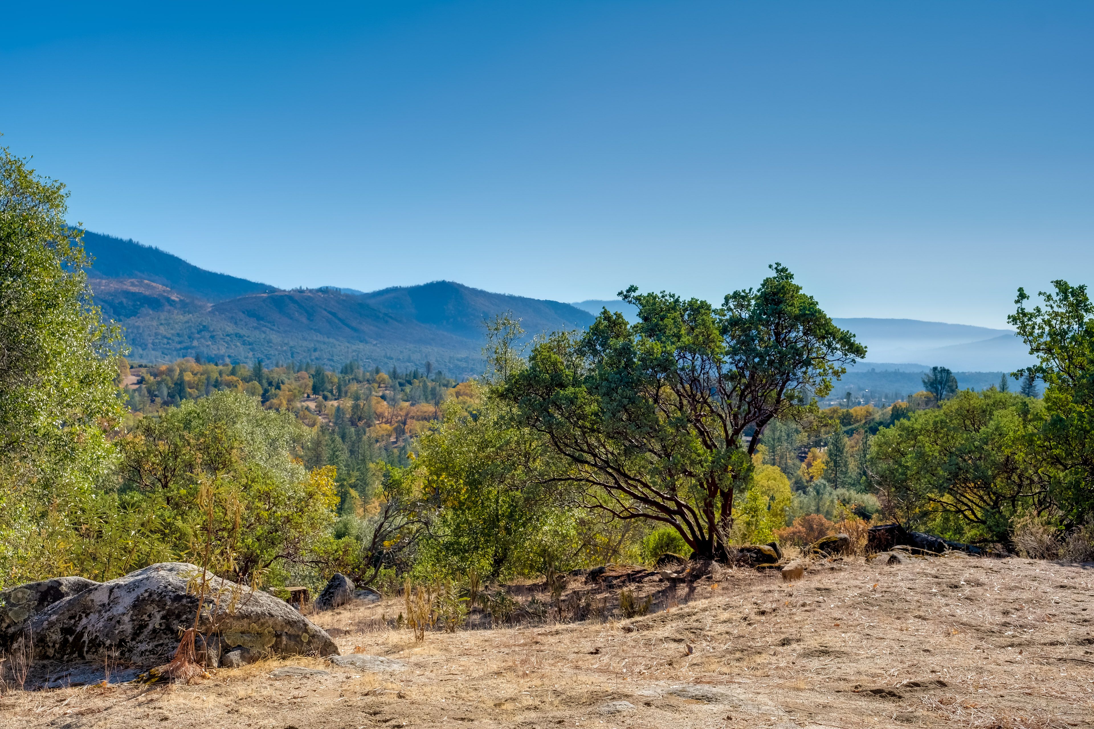 View From Home | No ATV's or Dirt Bikes Allowed on Property
