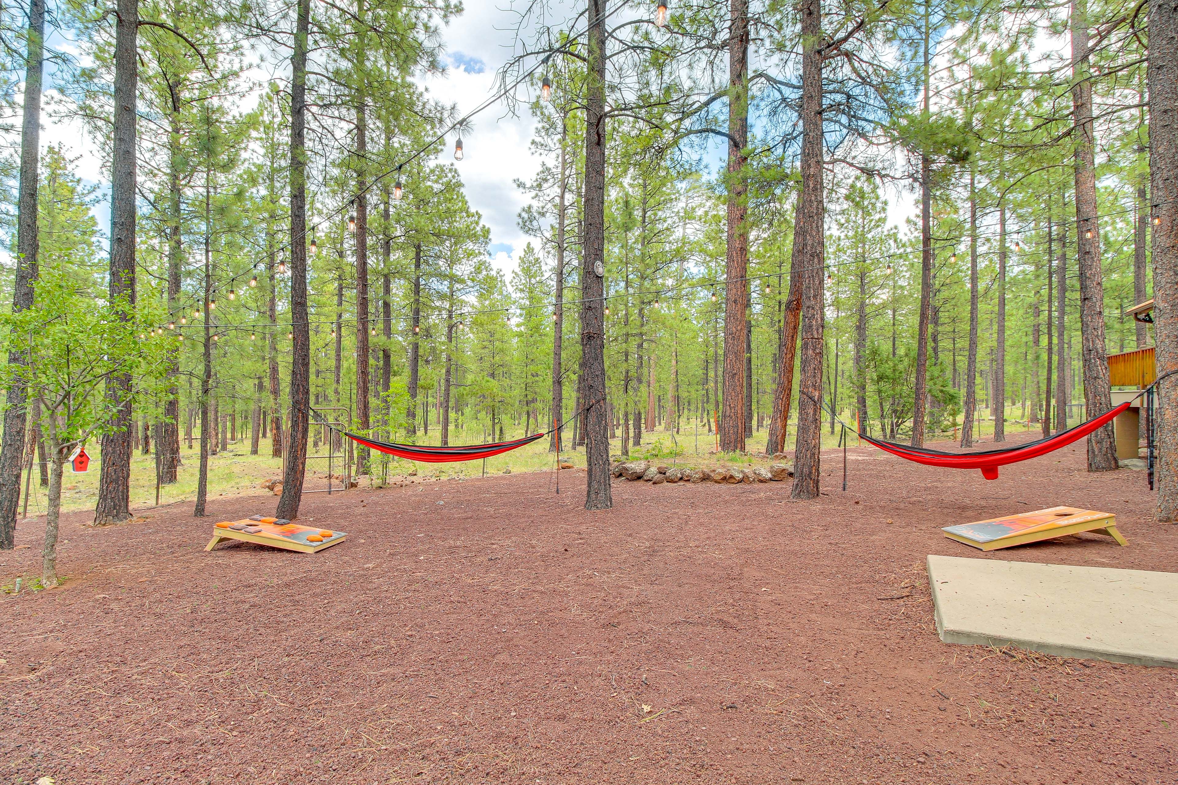 Private Backyard | Wooded Surroundings | Cornhole | Hammocks