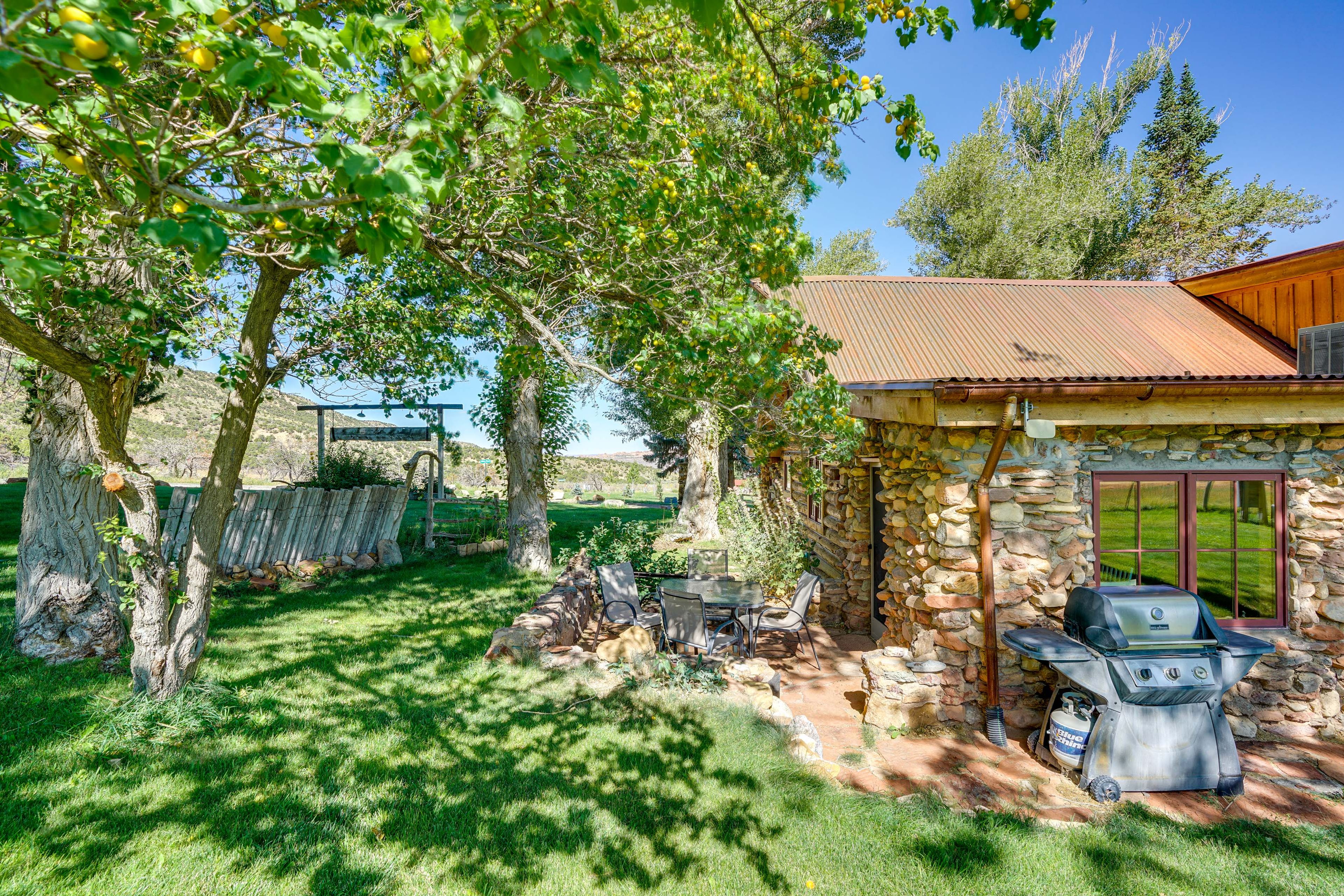 Patio | Gas Grill | Outdoor Dining