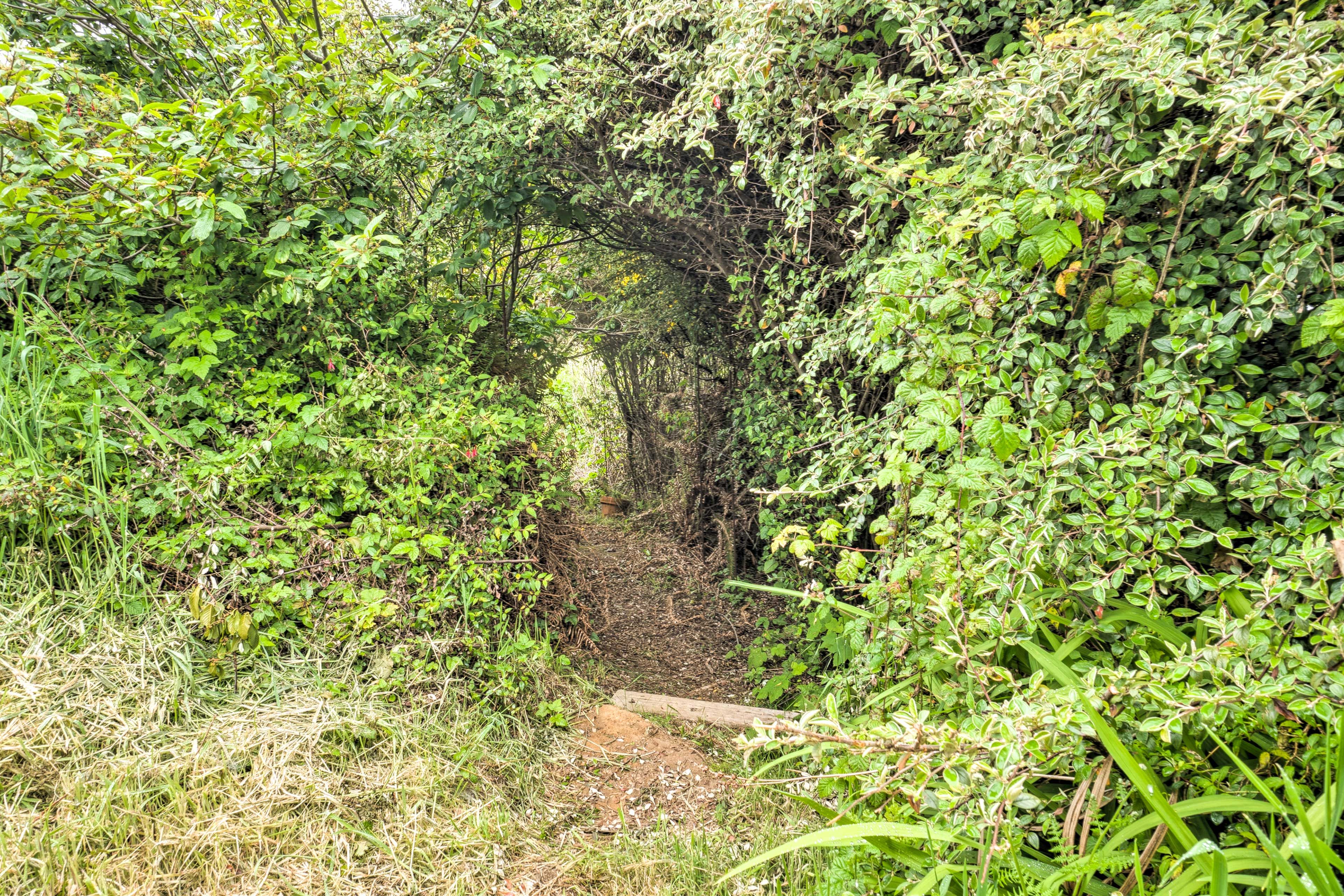 Image 33