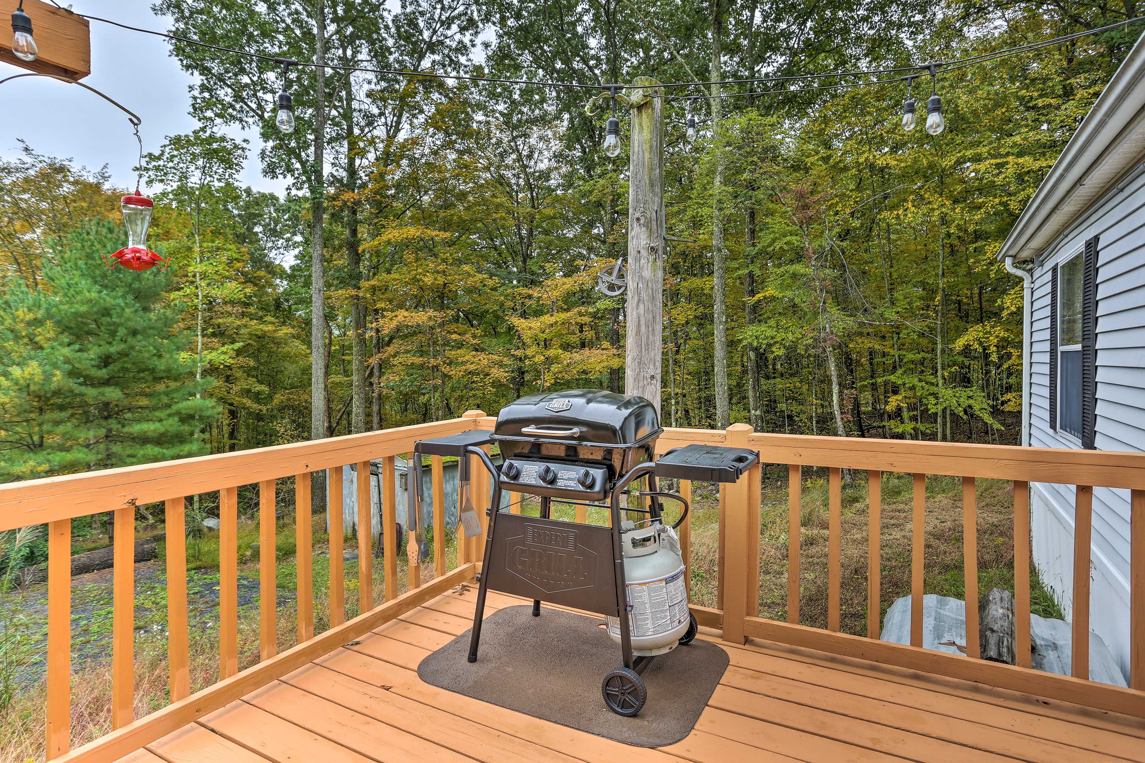 Back Deck | Gas Grill | Propane Provided