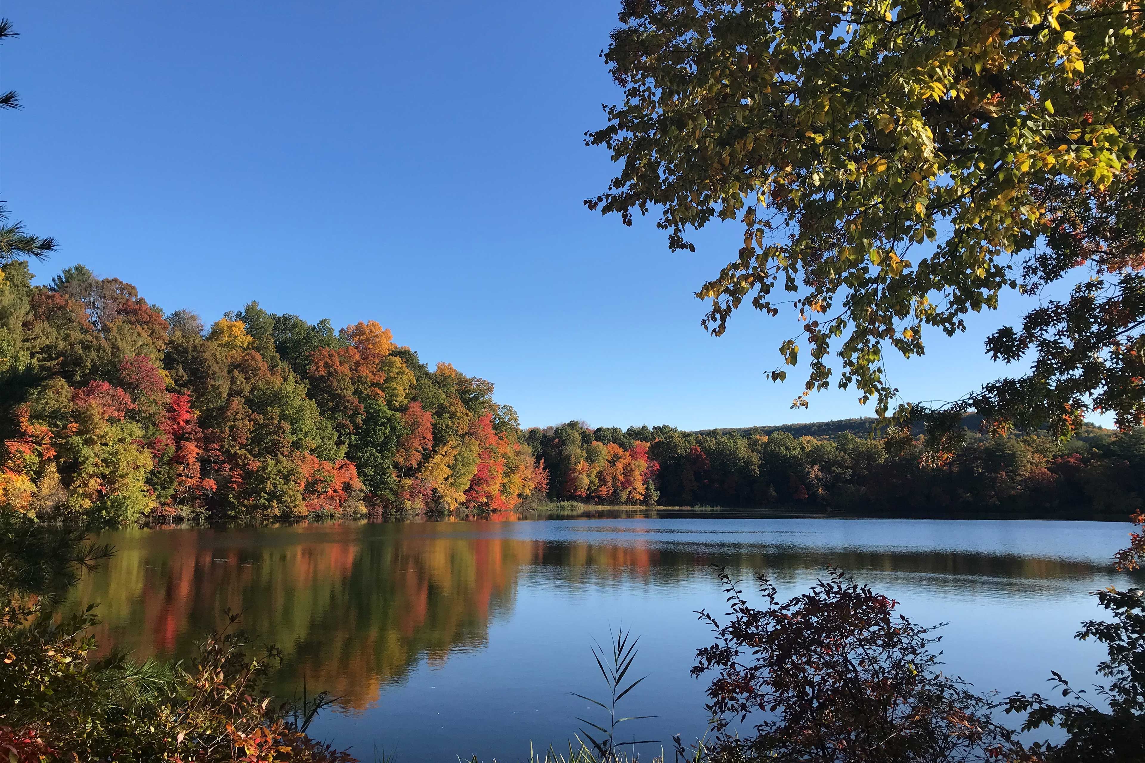 Lake Views