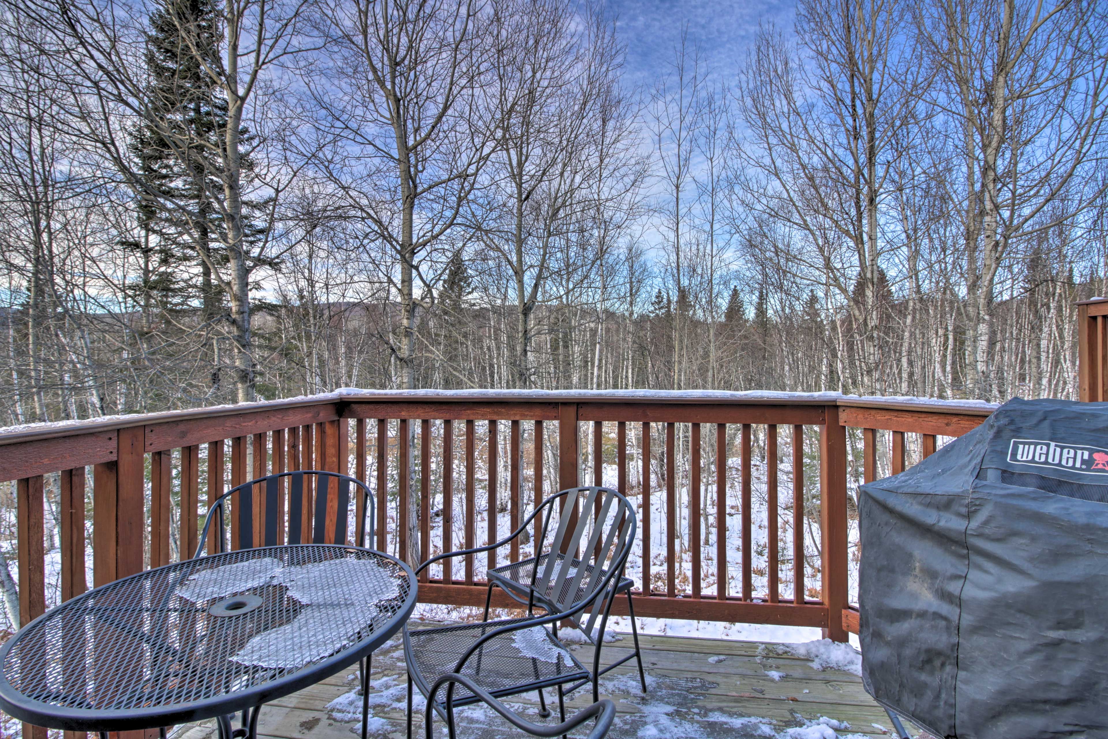 Private Deck | Gas Grill