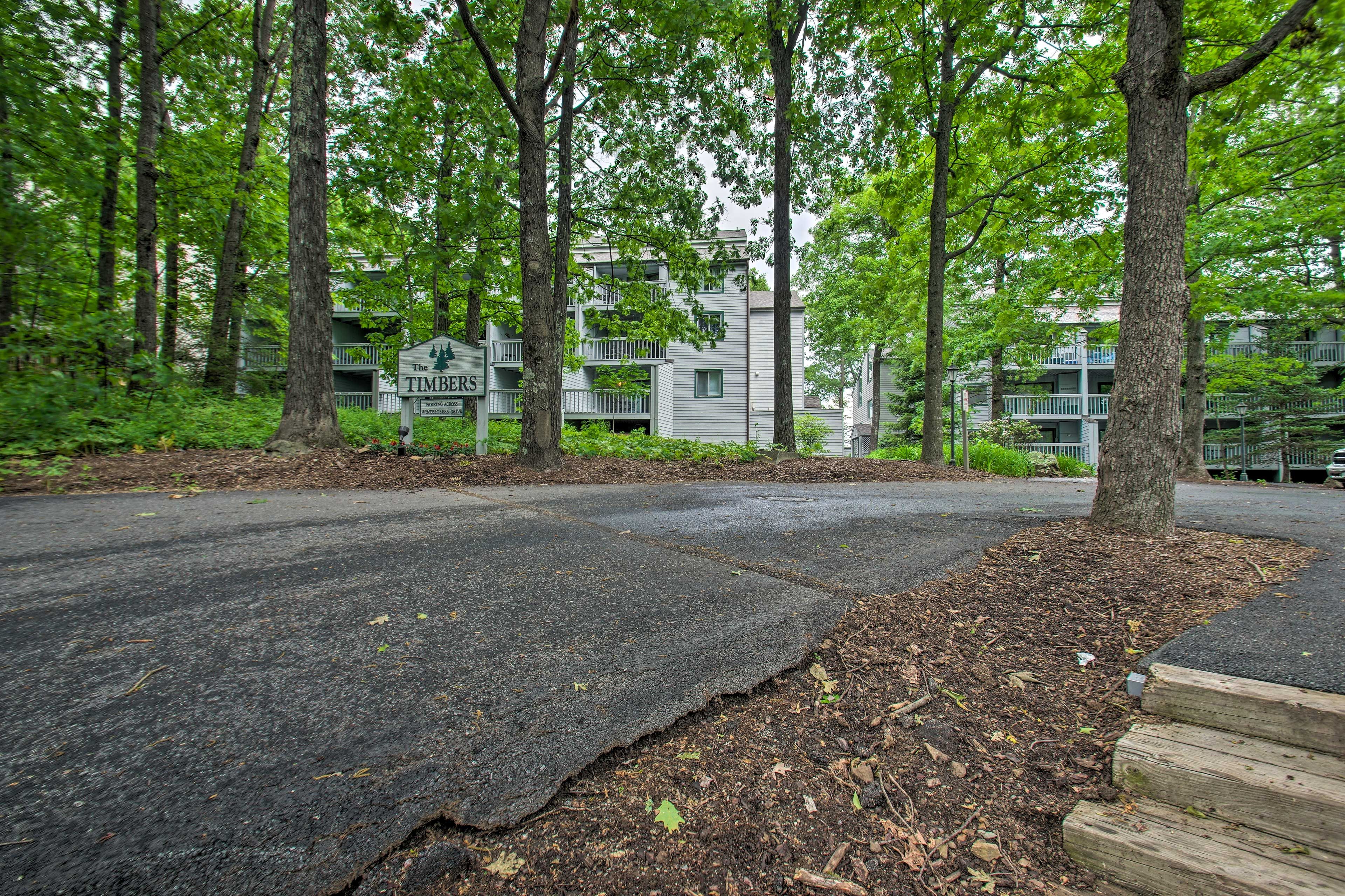 Image 25