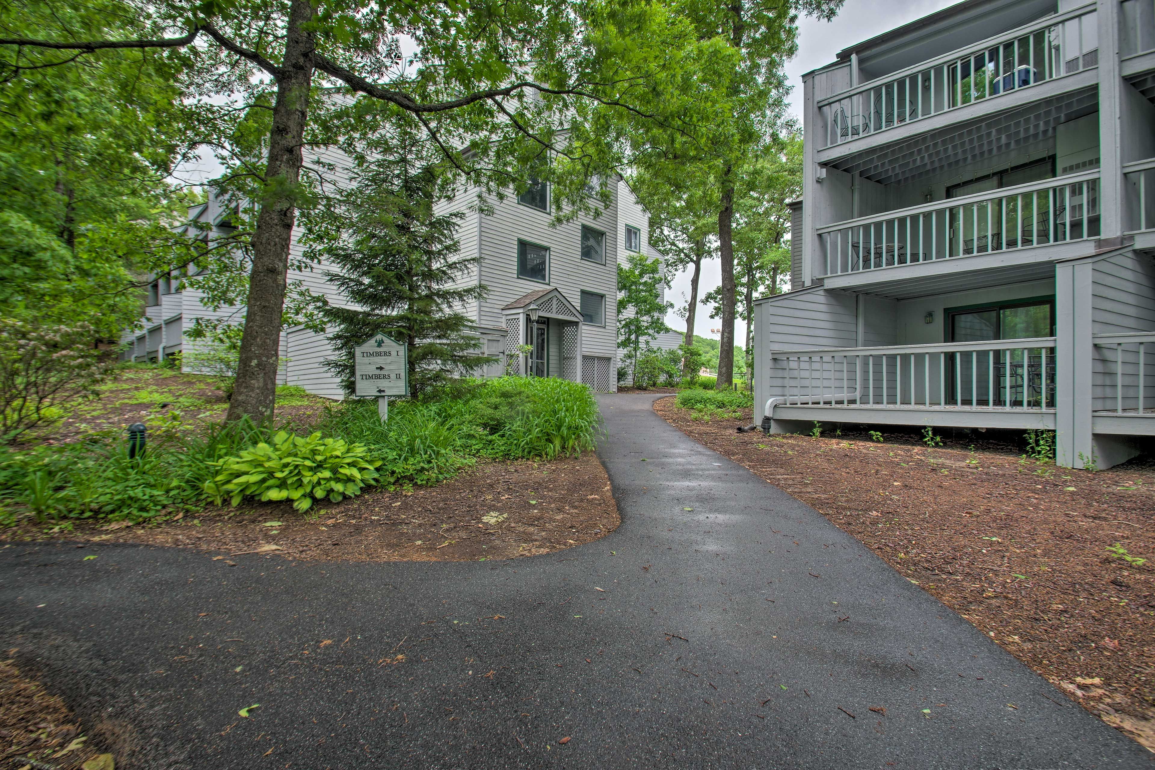 Image 26