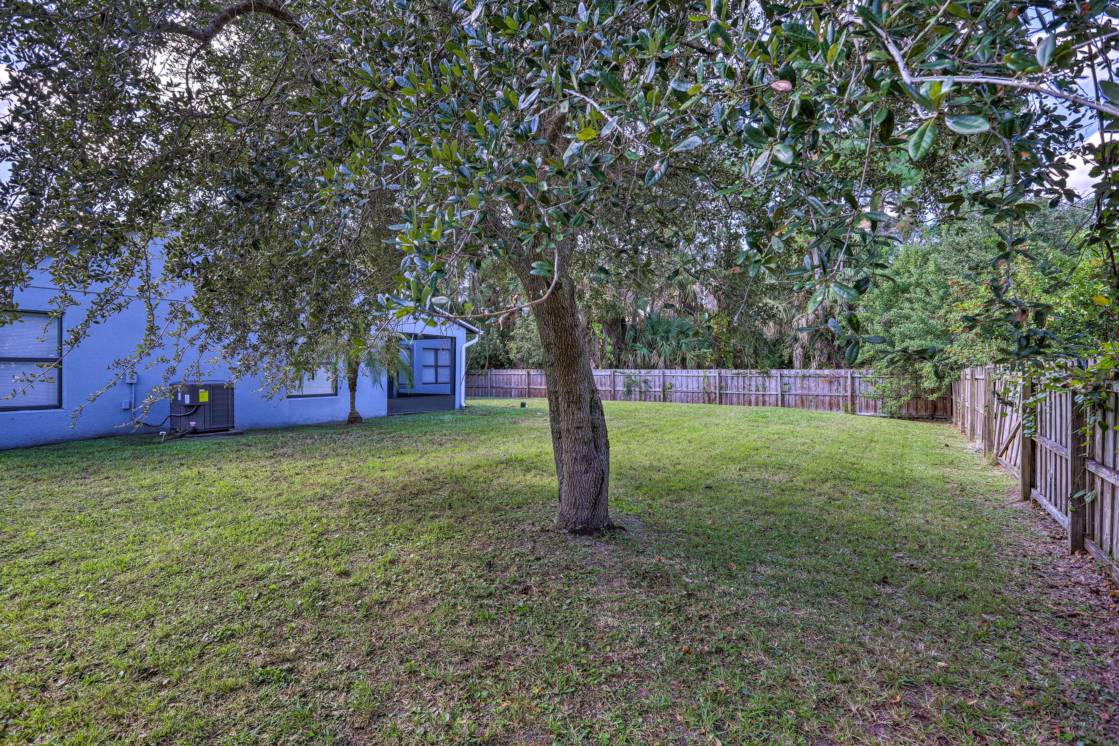Backyard