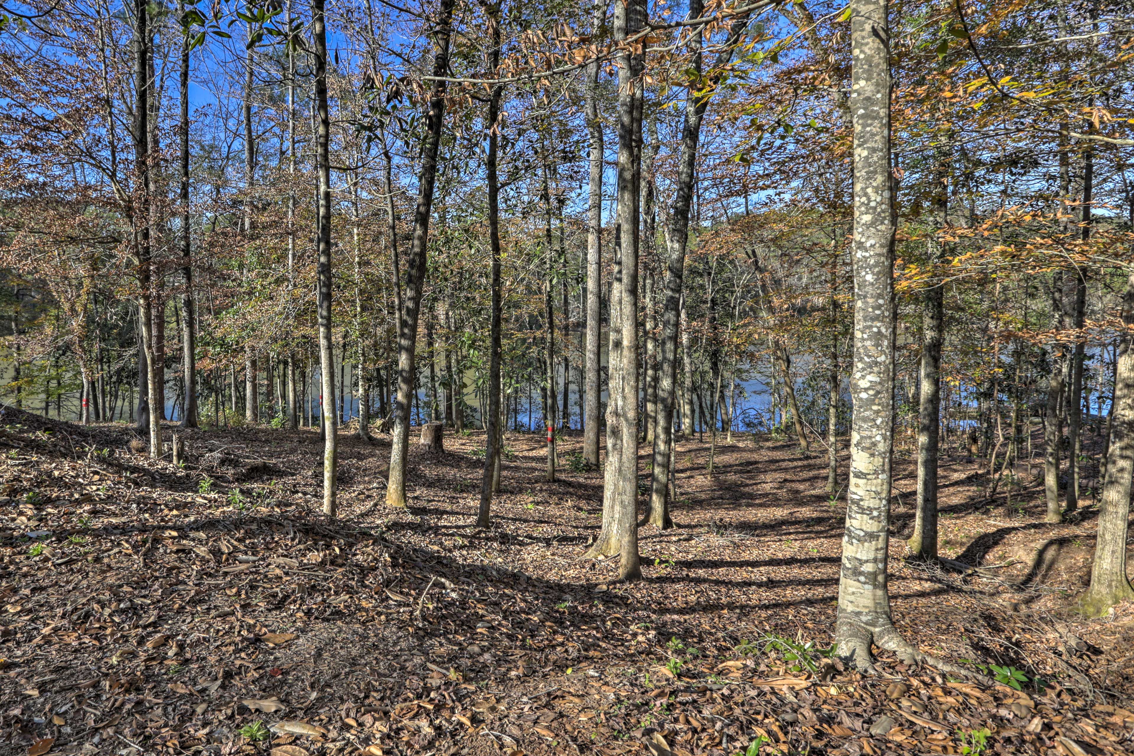 Trail to Lake