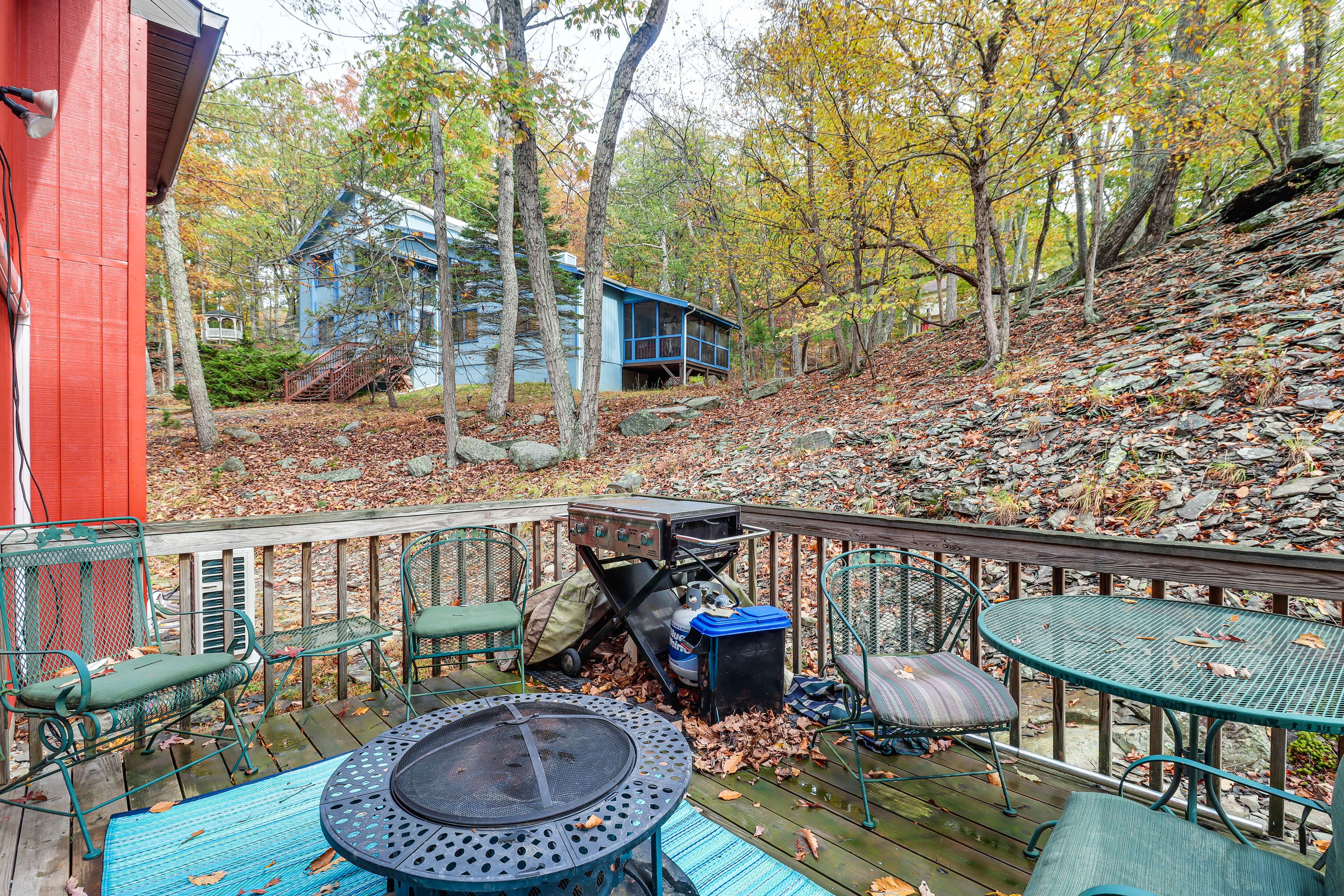 Deck | Gas Grill (Propane Included)