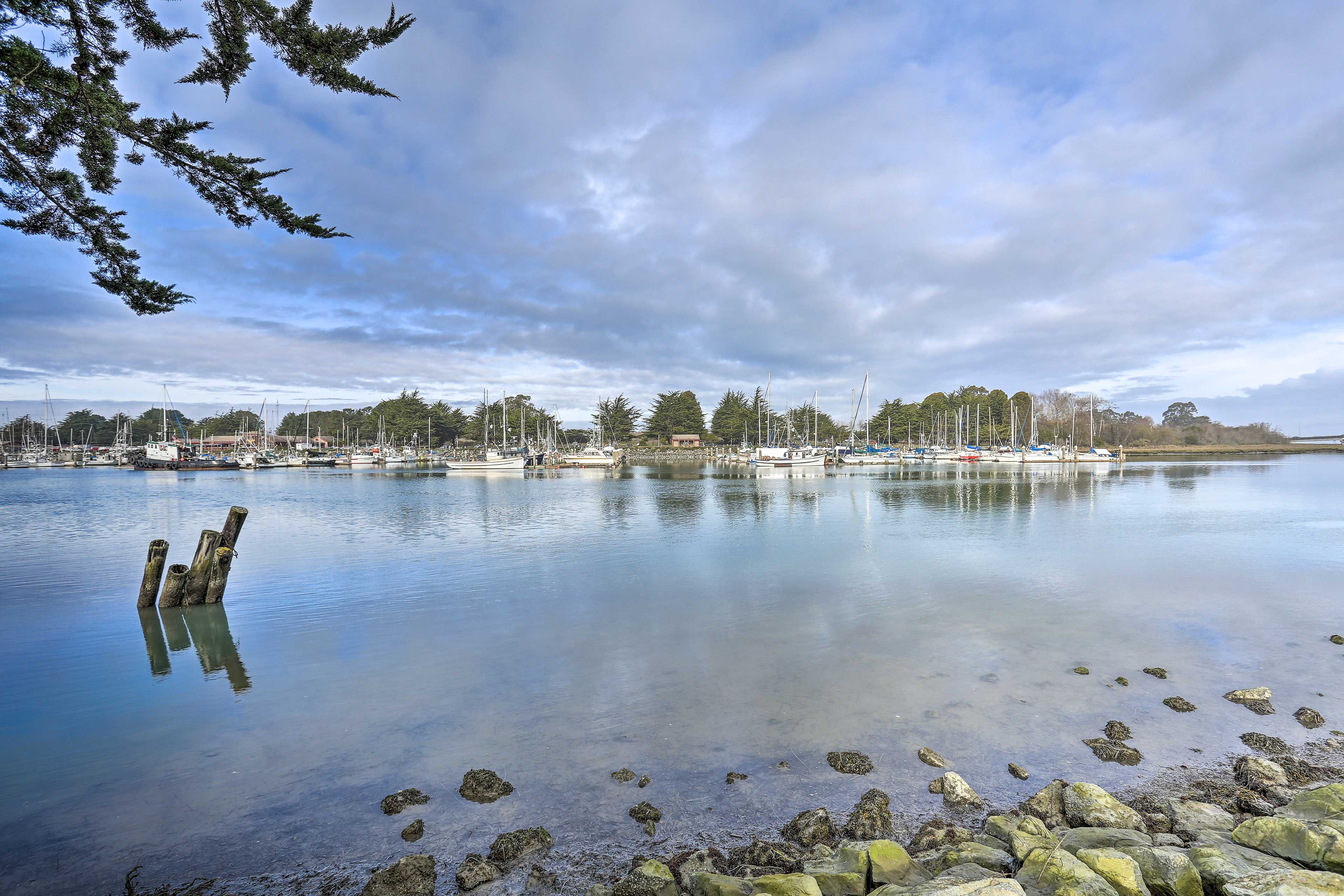 Humboldt Bay