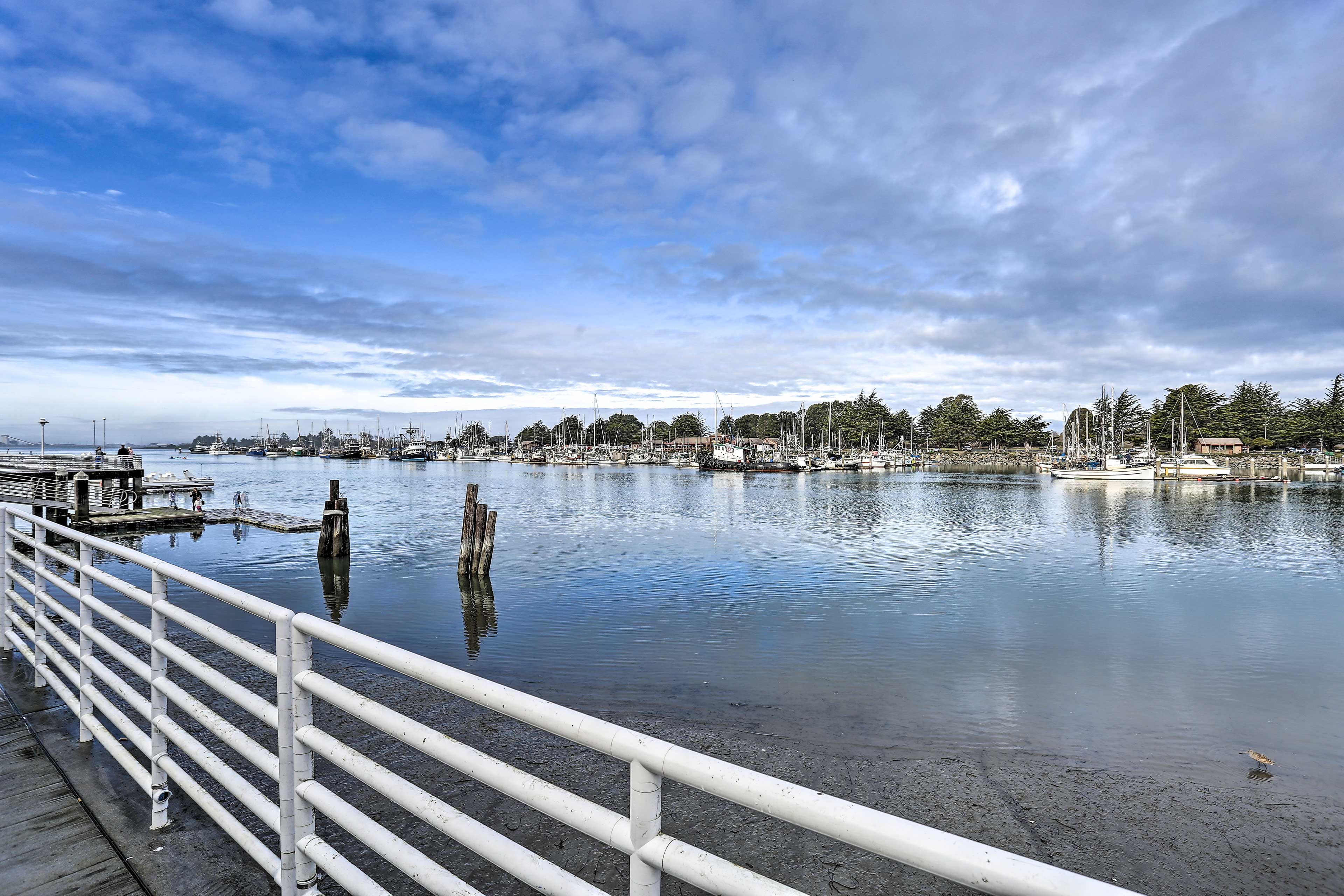 Madaket Harbor Cruise (1.4 miles)