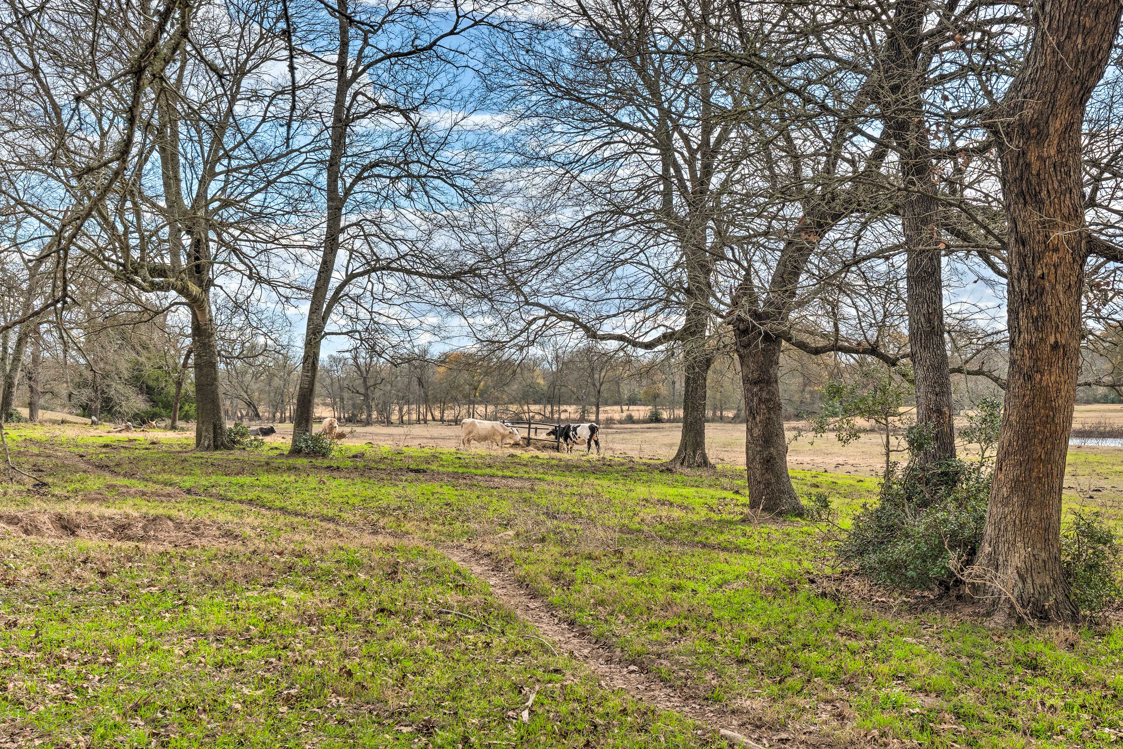 On-Site Ranch