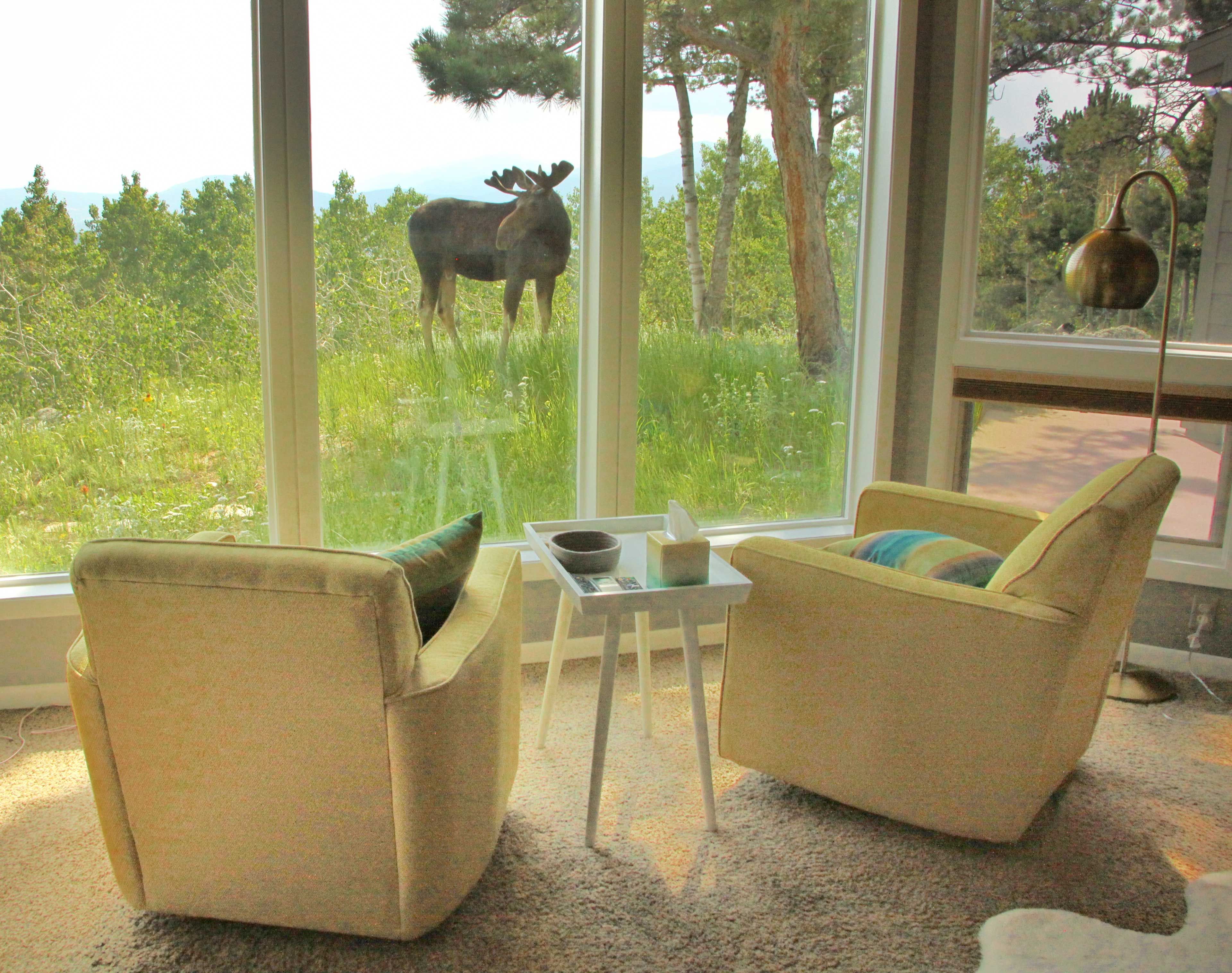 Living Area | Wildlife Watching