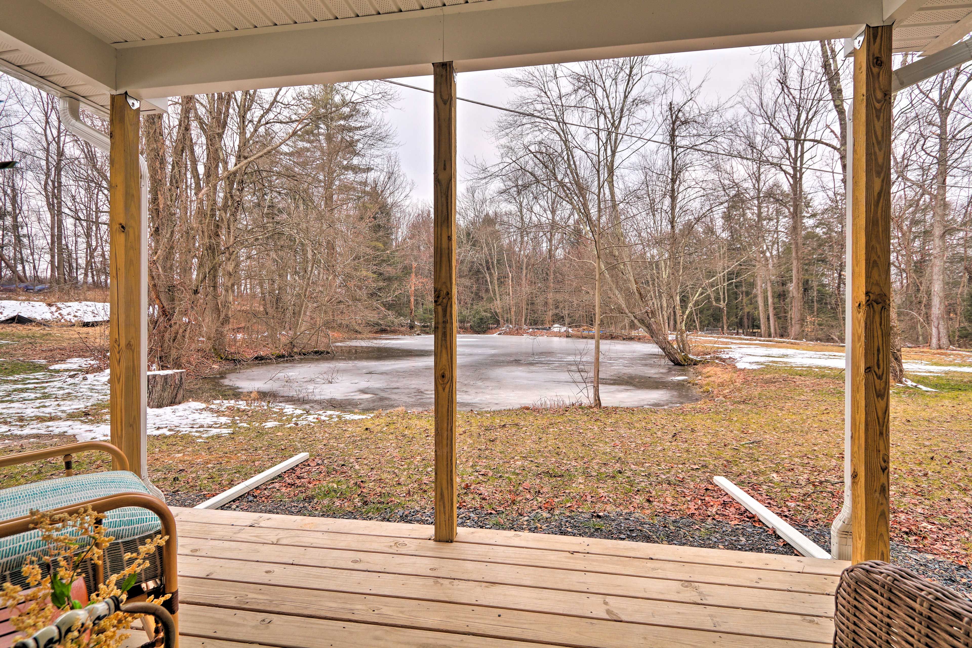 Back Porch | Gas Grill