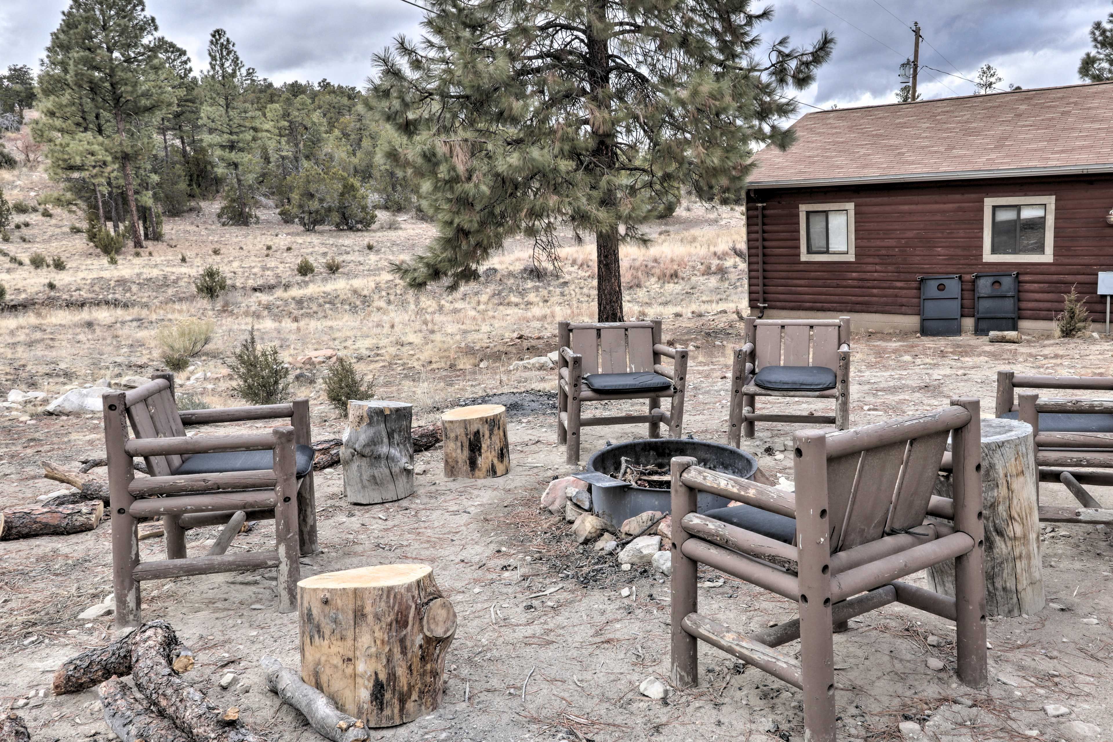 Wood-Burning Fire Pit
