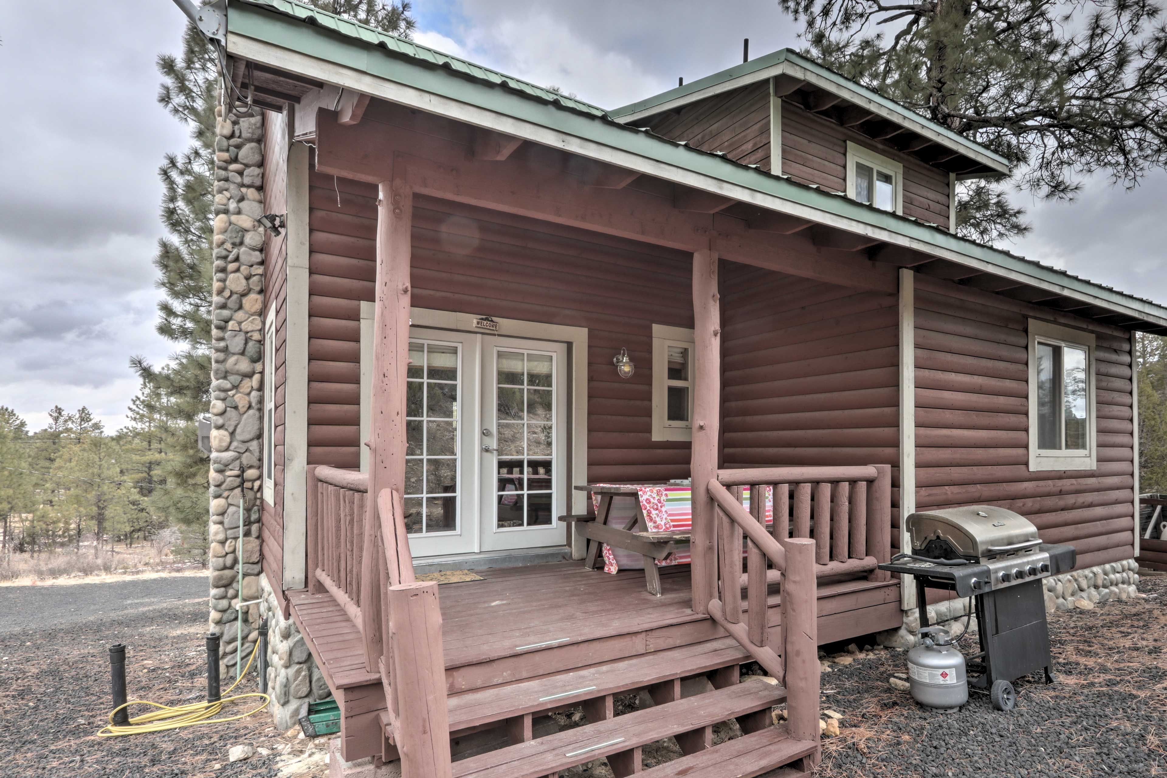 Back Deck | Picnic Table | Gas Grill
