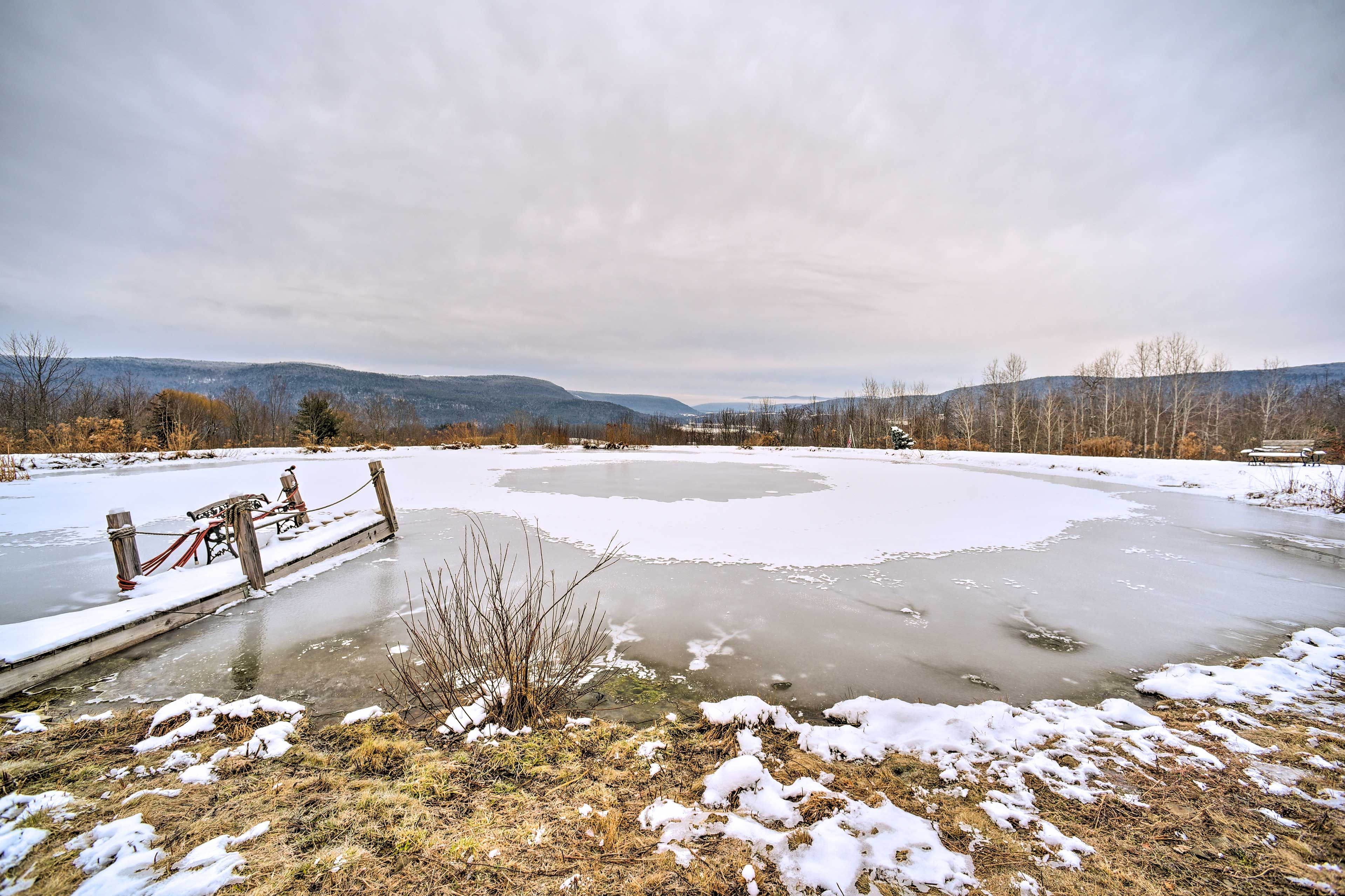 Private Yard | Winter Setting