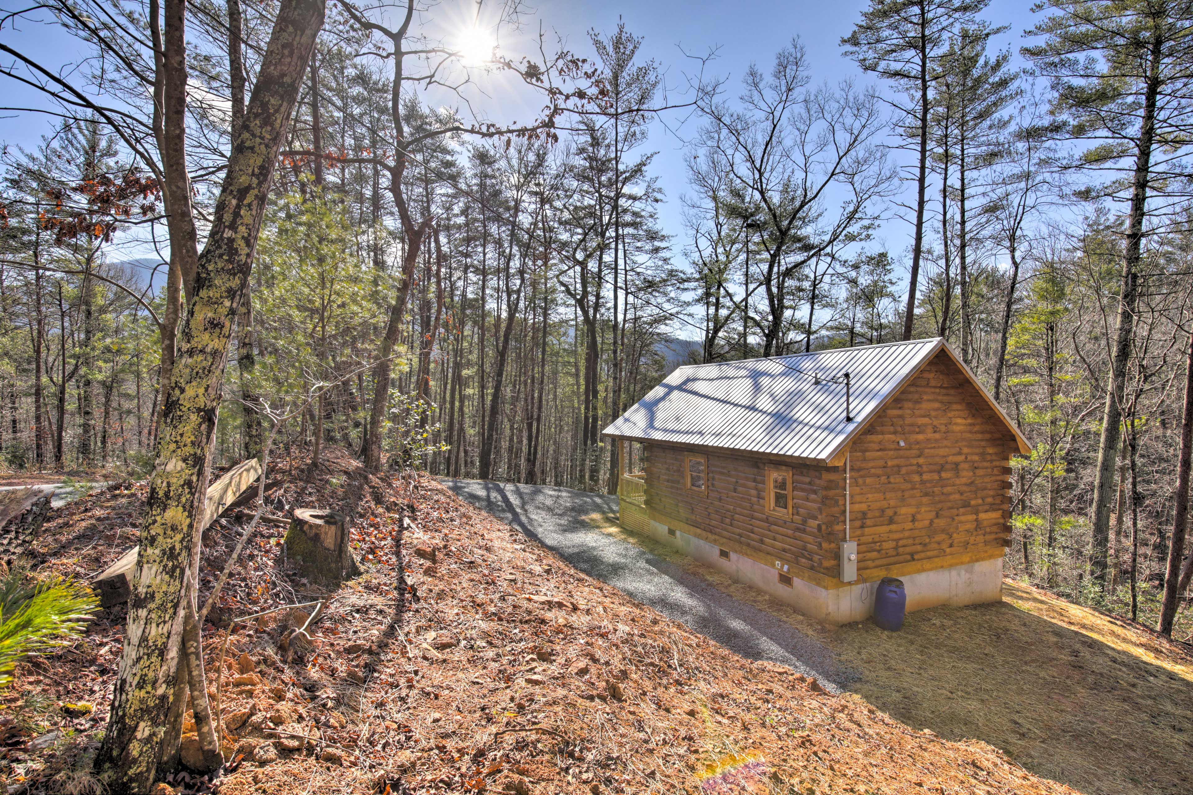 Cabin Exterior