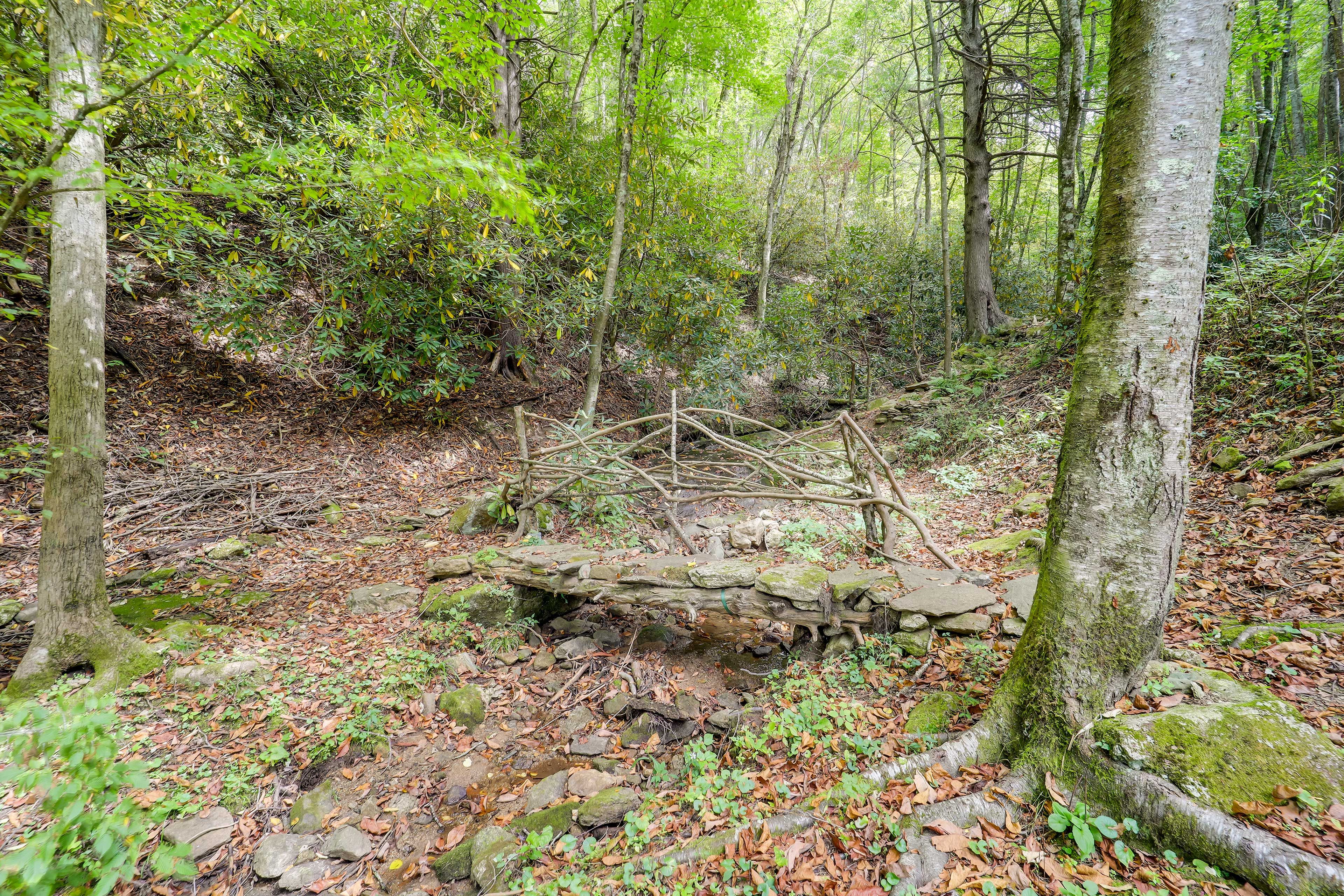 Image 37