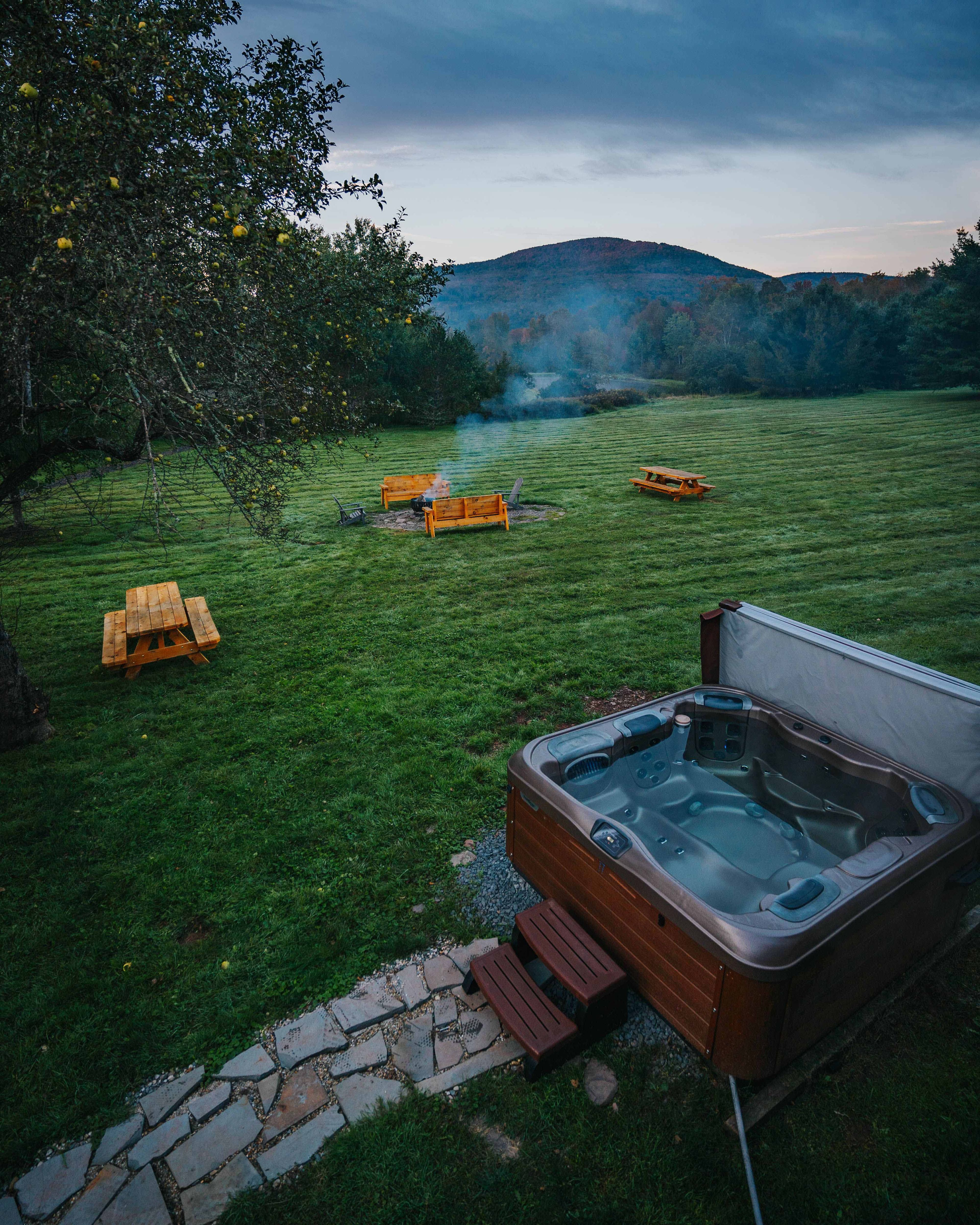 Shared Backyard
