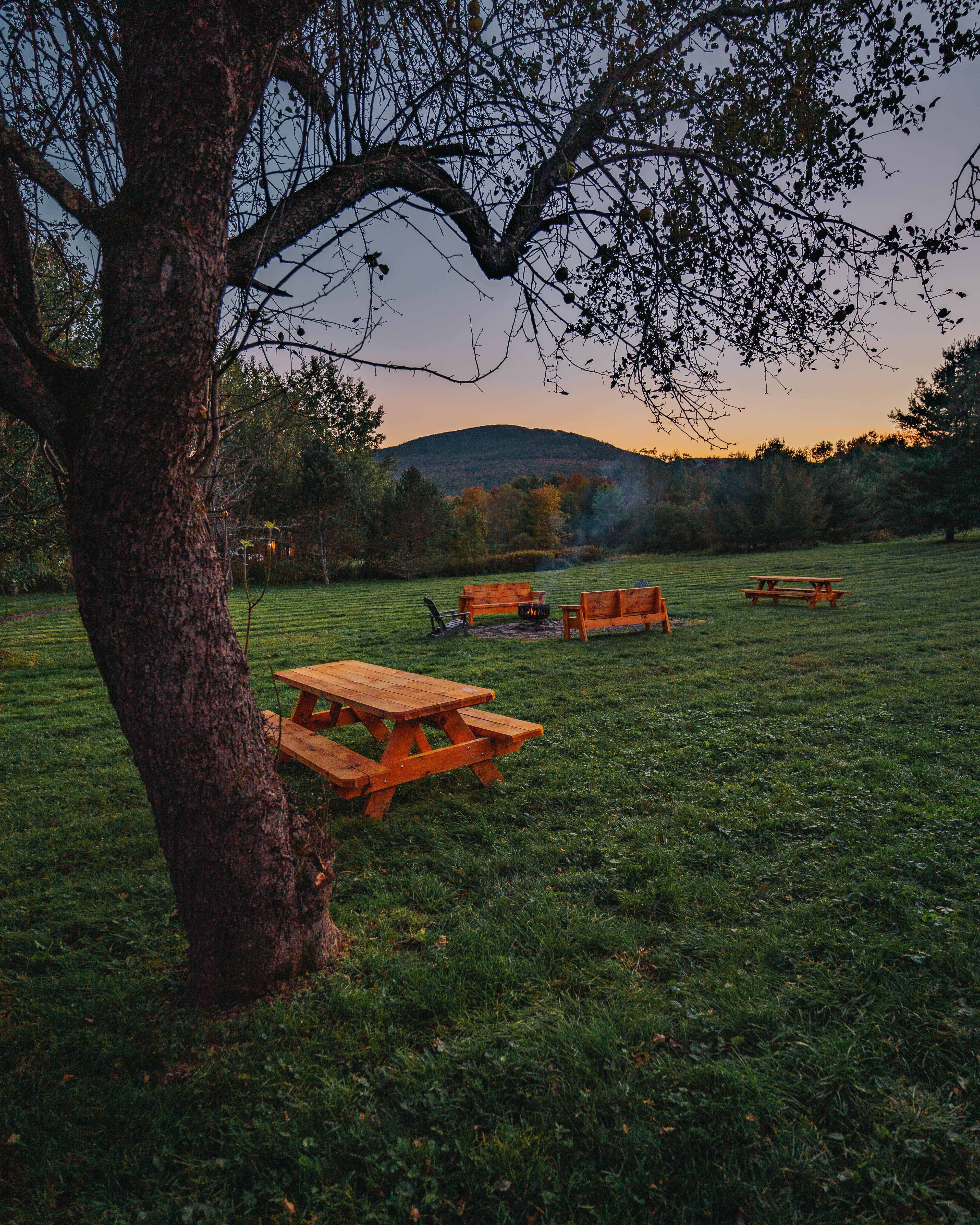 Shared Yard | Fire Pit Views