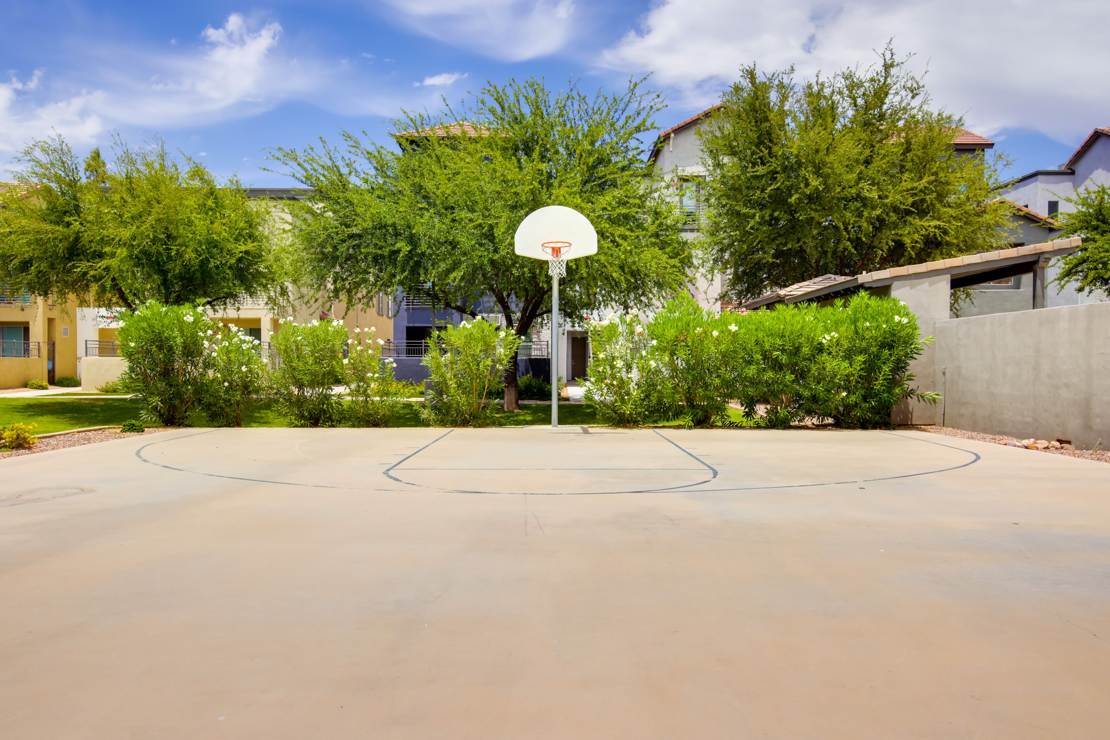 Community Basketball Court