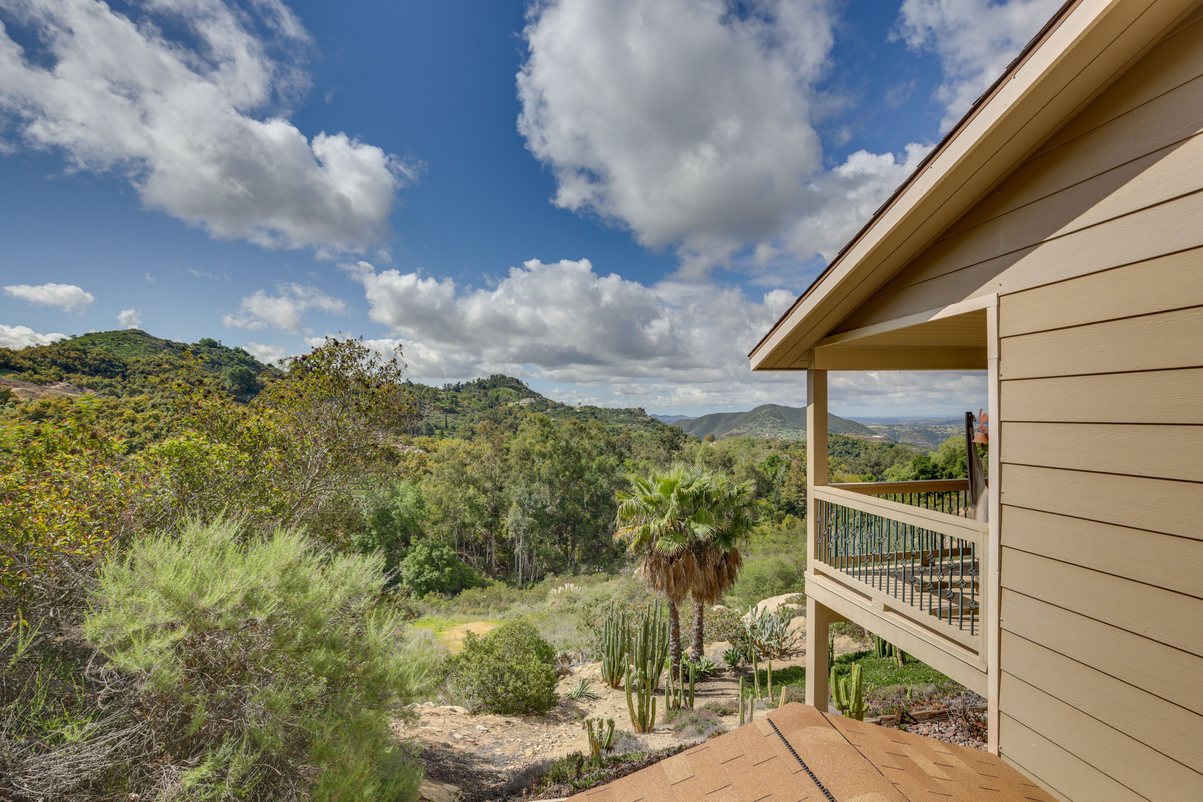 Deck Views
