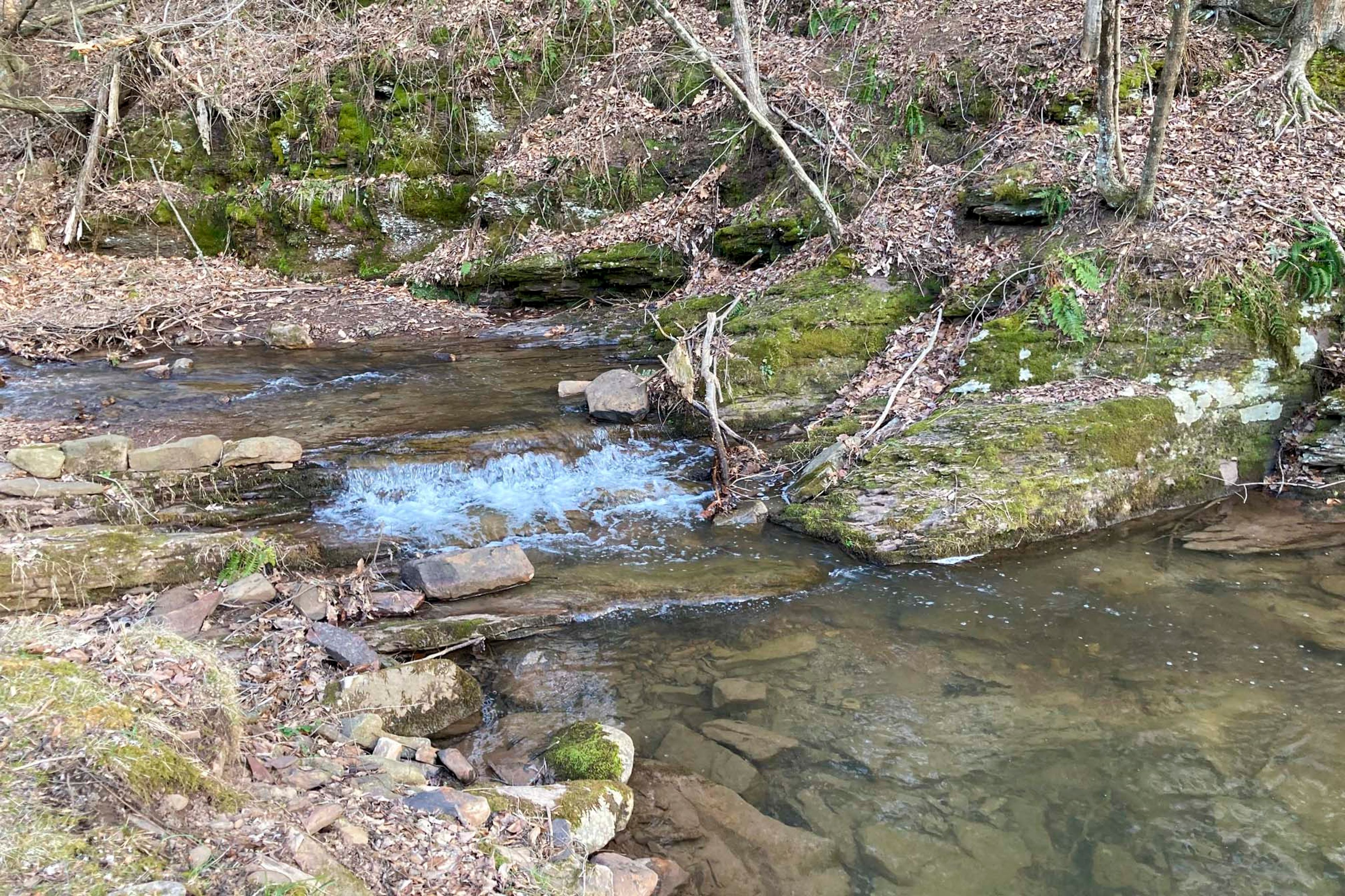 Nearby Creek