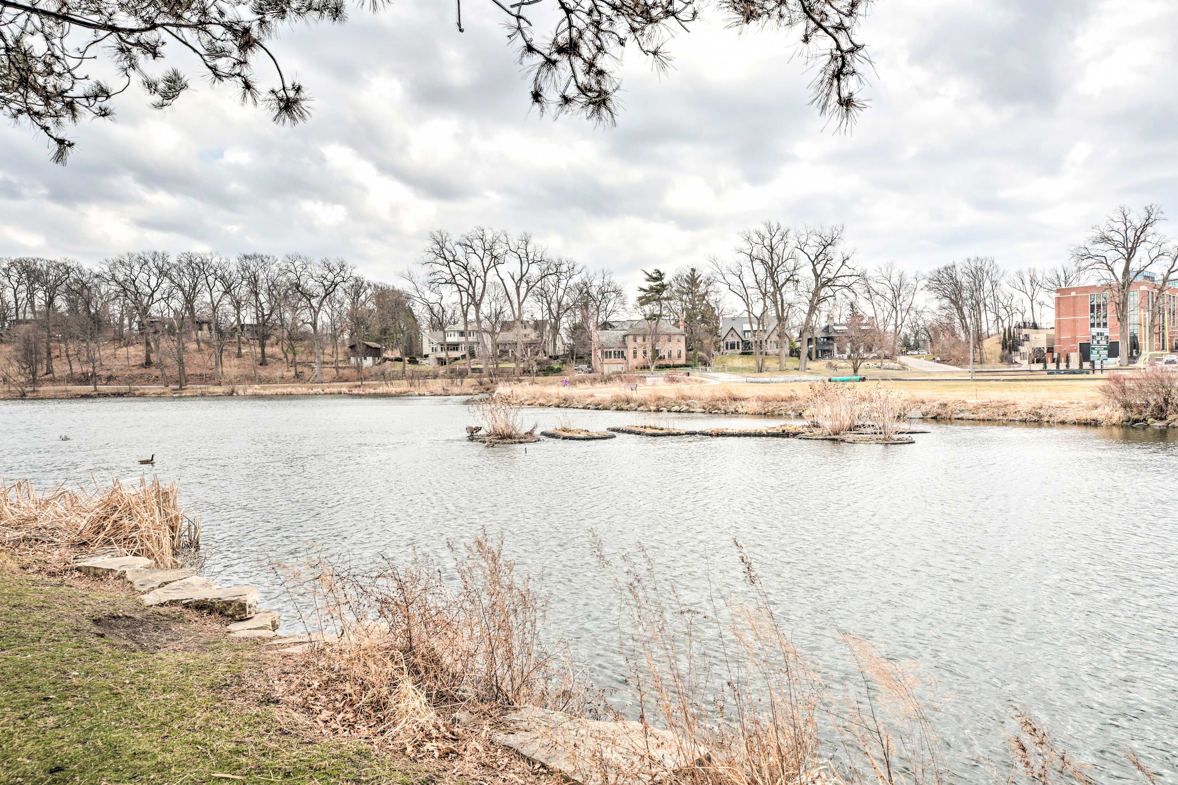 Lake Ellyn