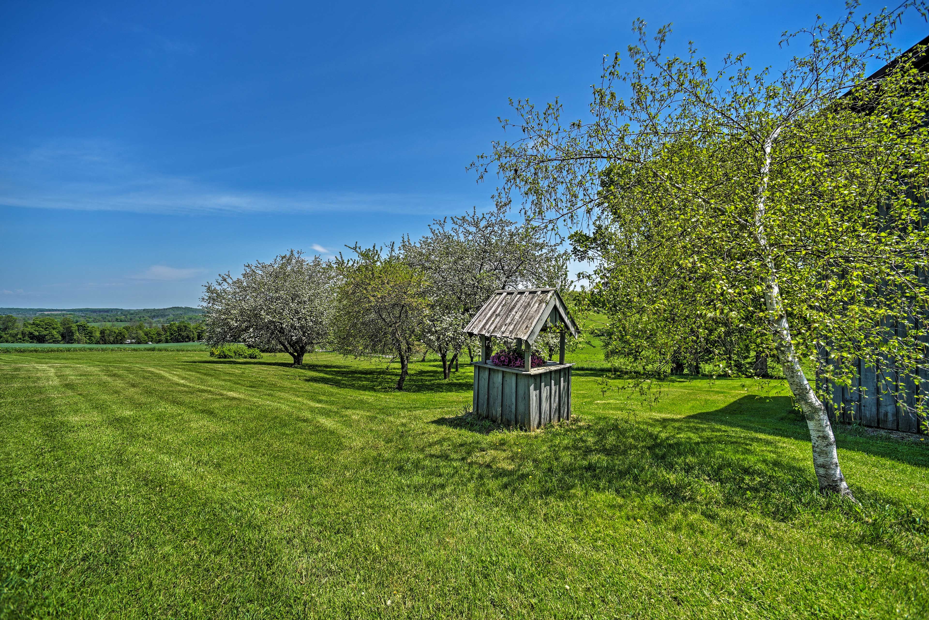 Home Exterior