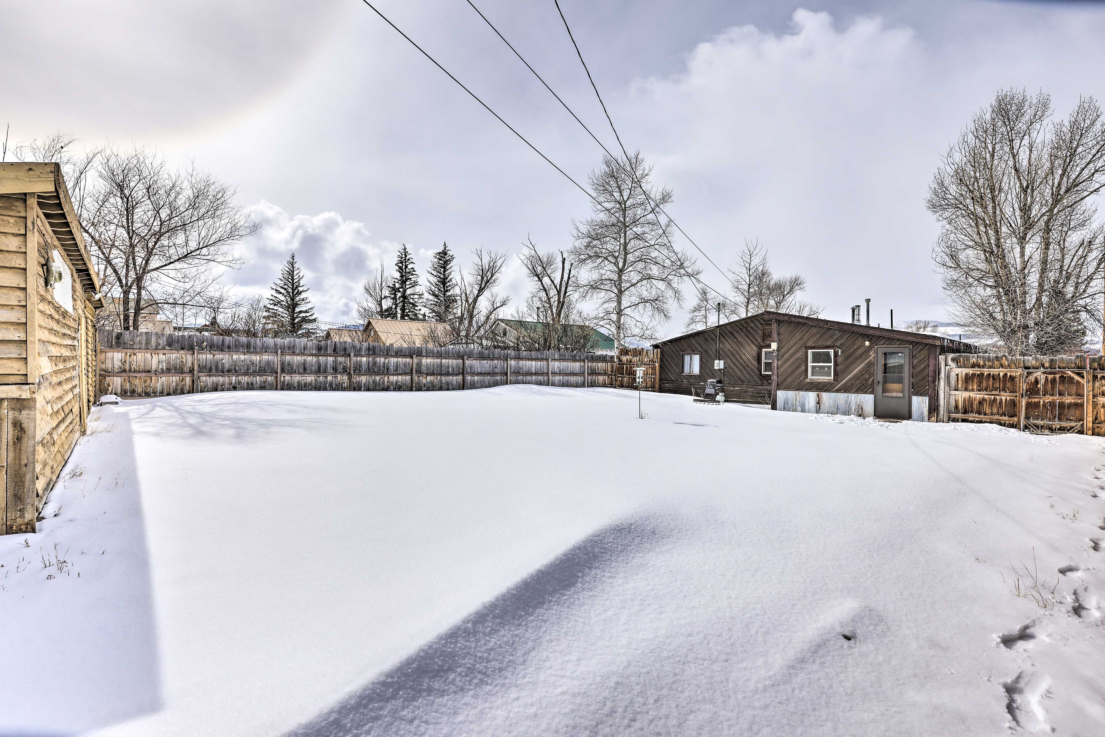 Enclosed Backyard