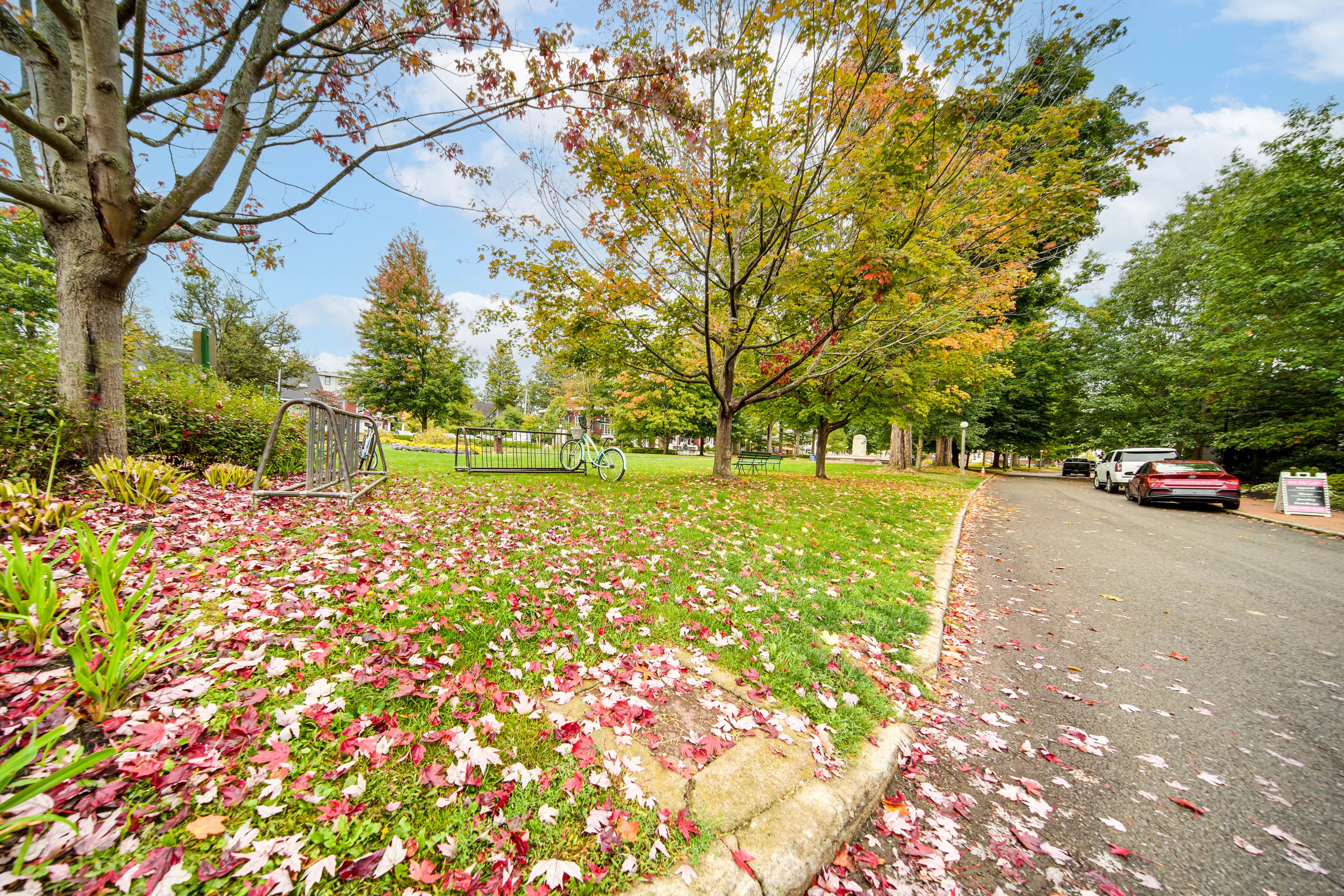 Nearby Park