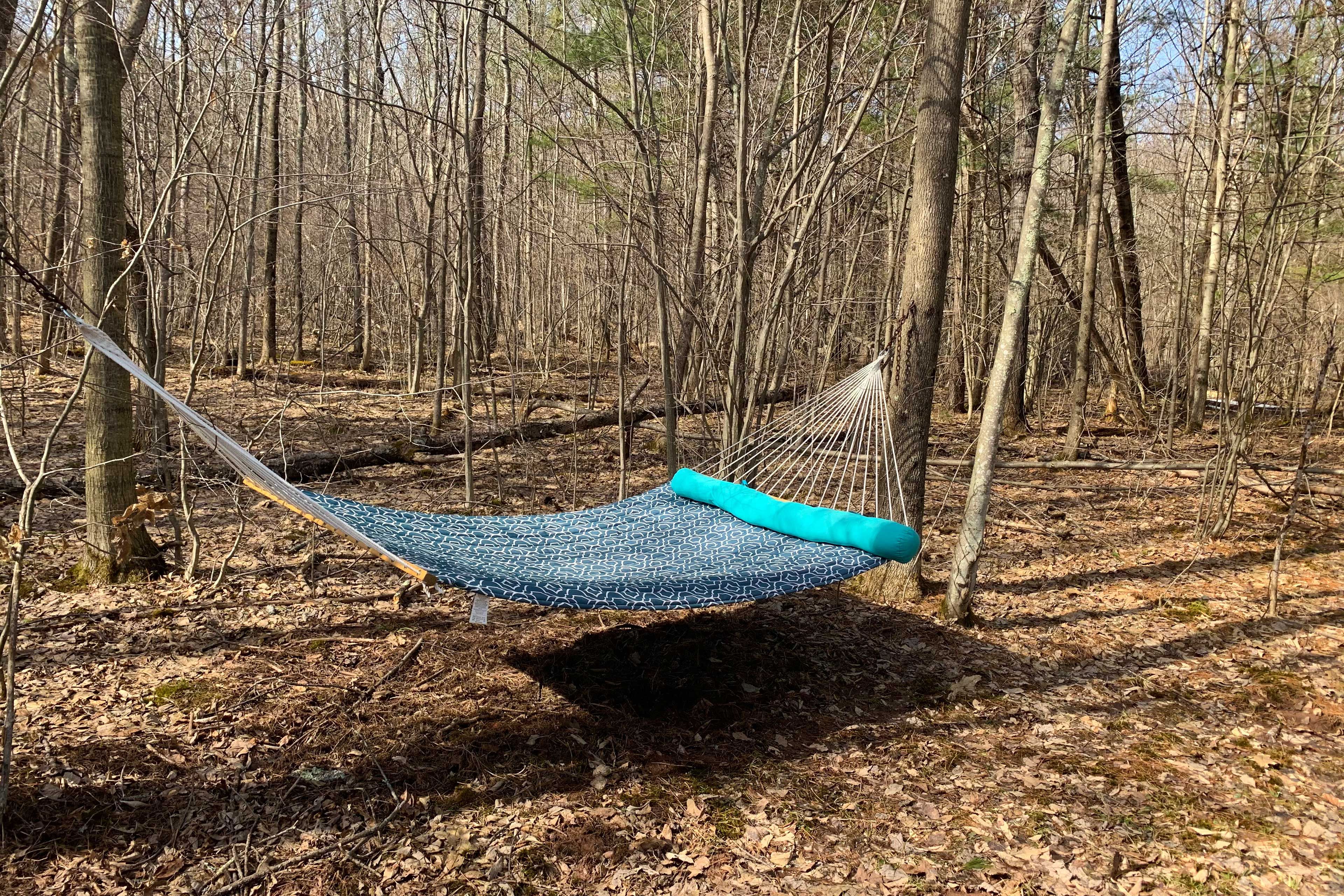 Property Exterior | Hammock