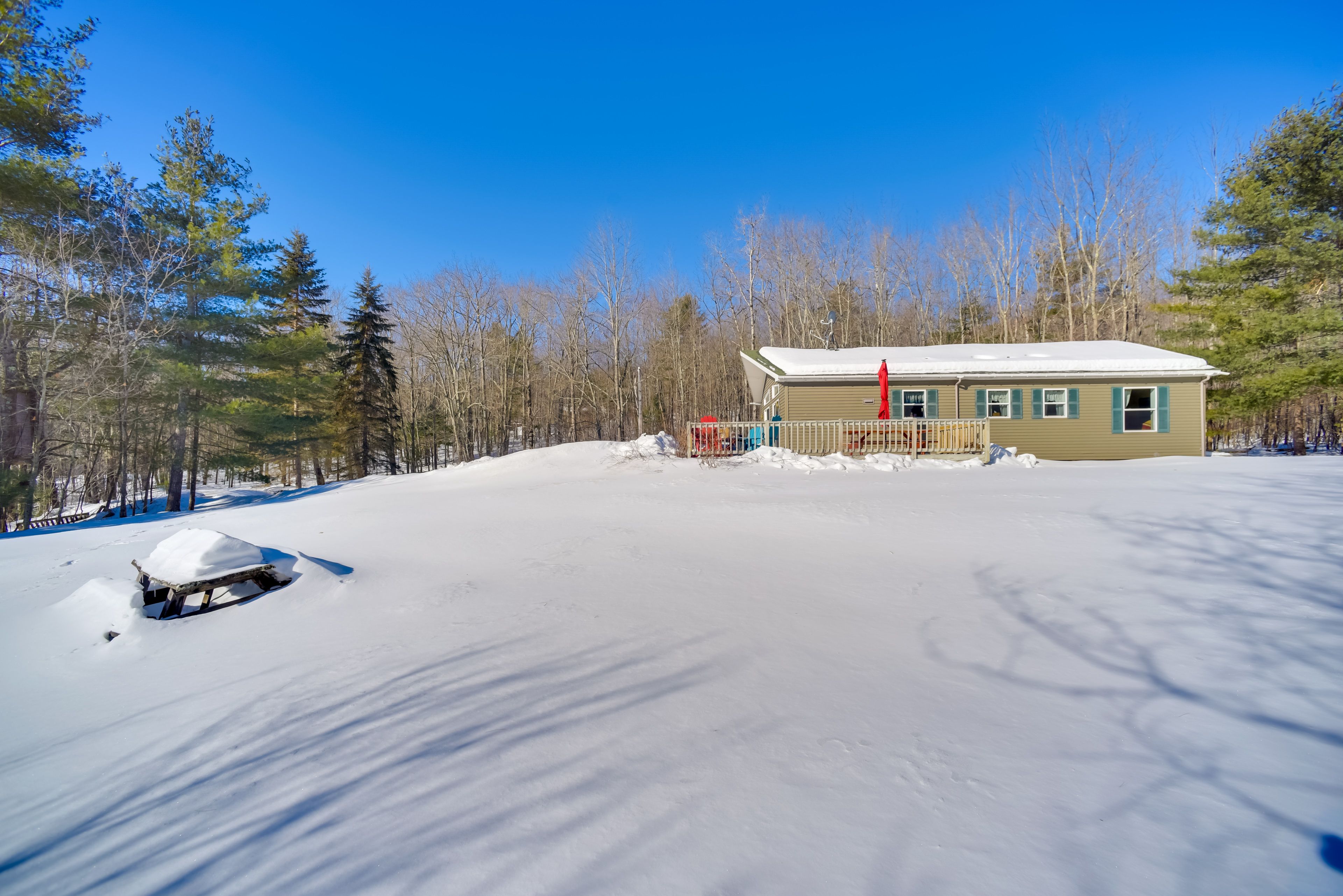 Yard Space | Fire Pit | Hammock