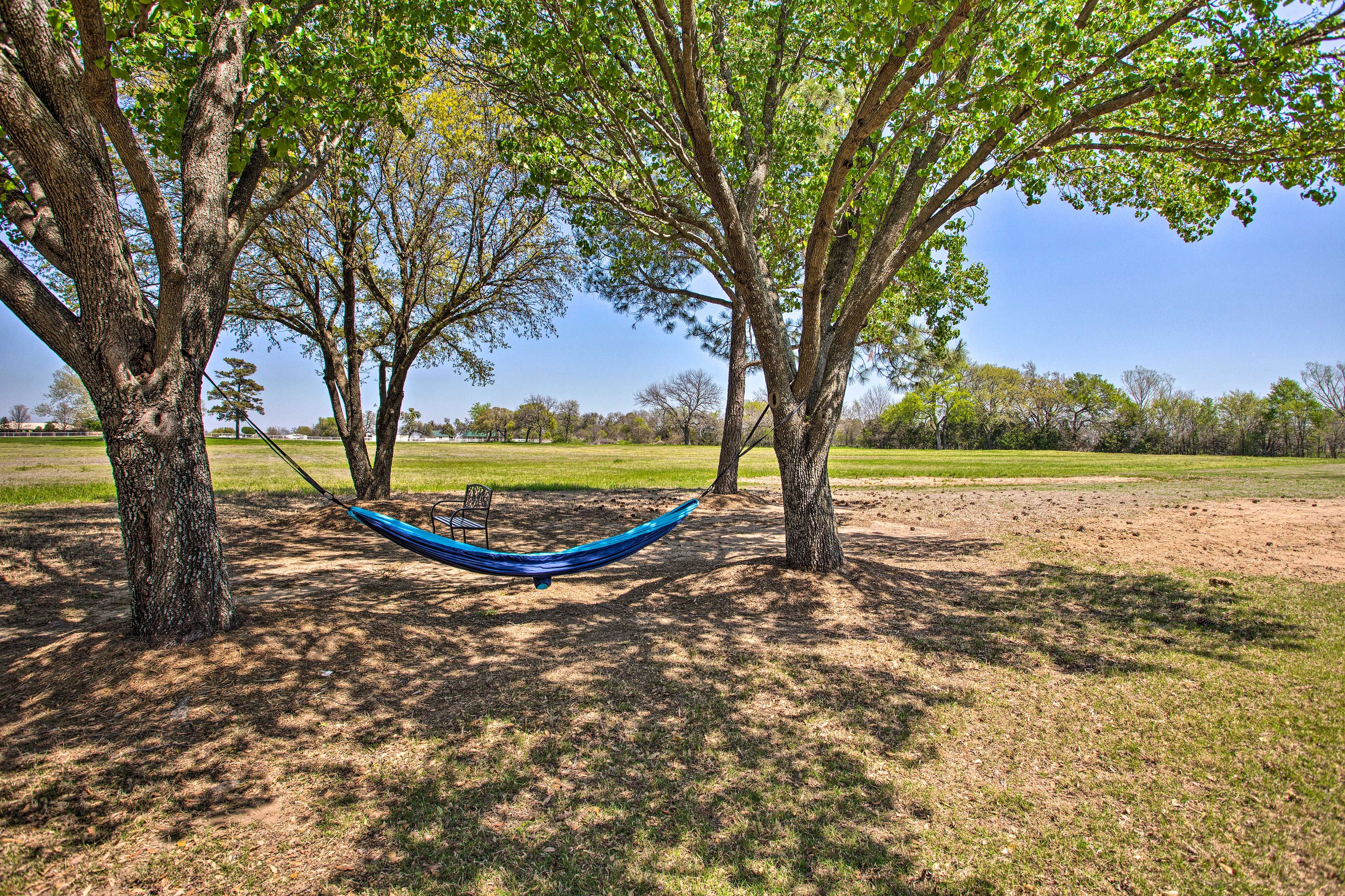 Hammock