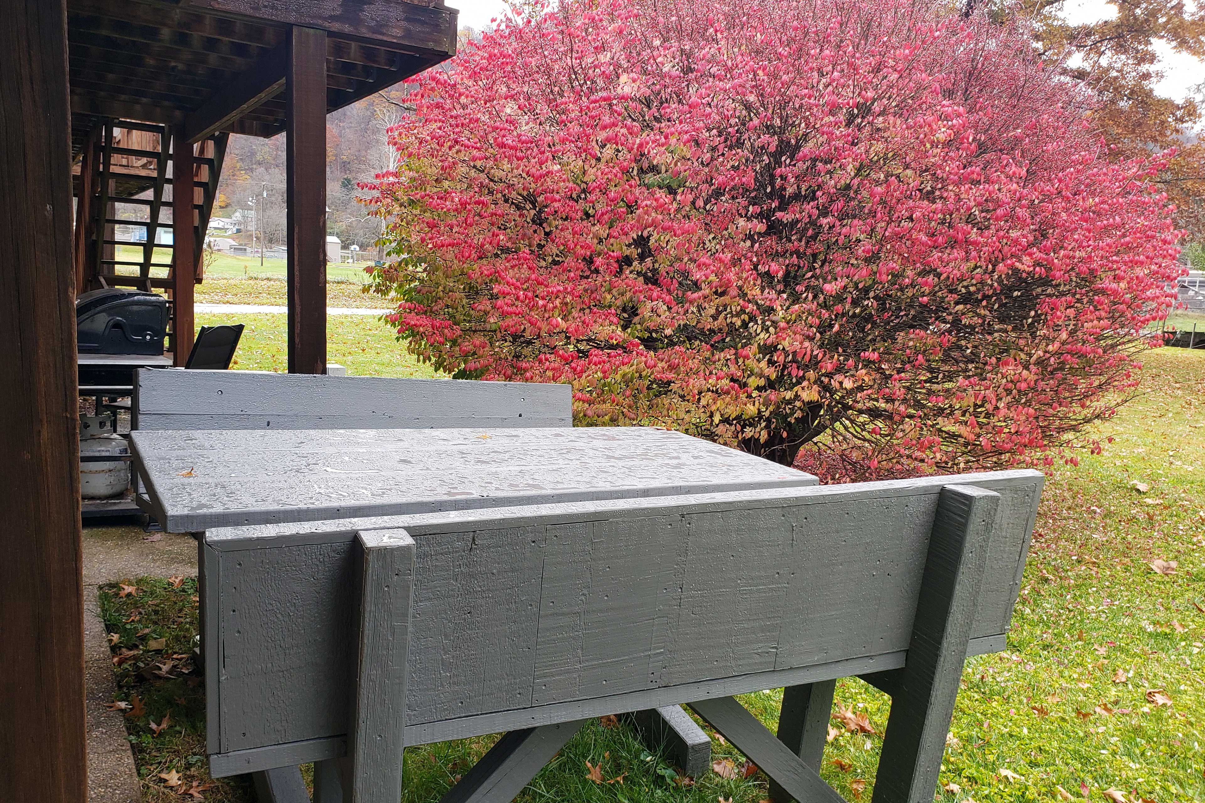 Exterior | Outdoor Dining