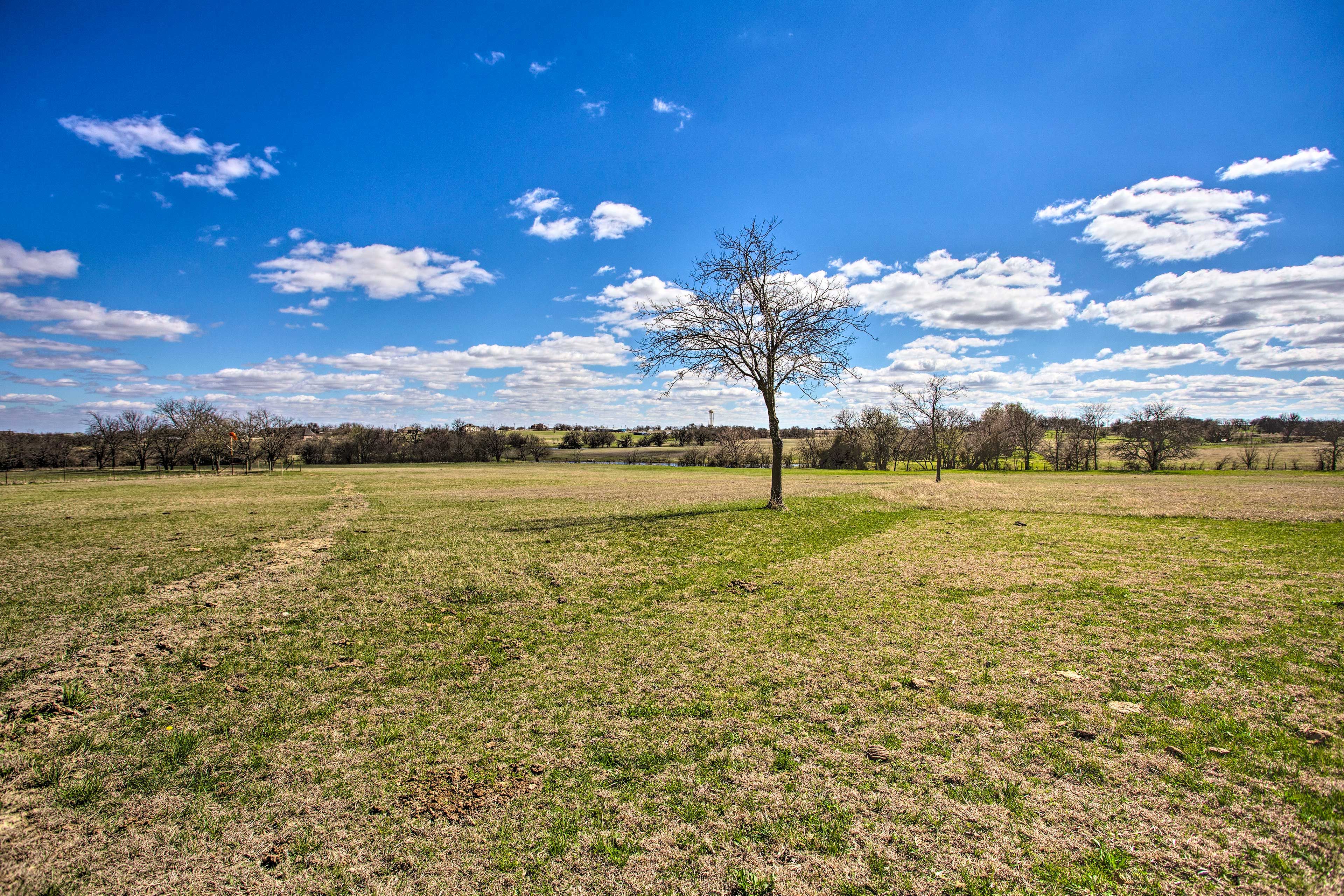 Ranch Property