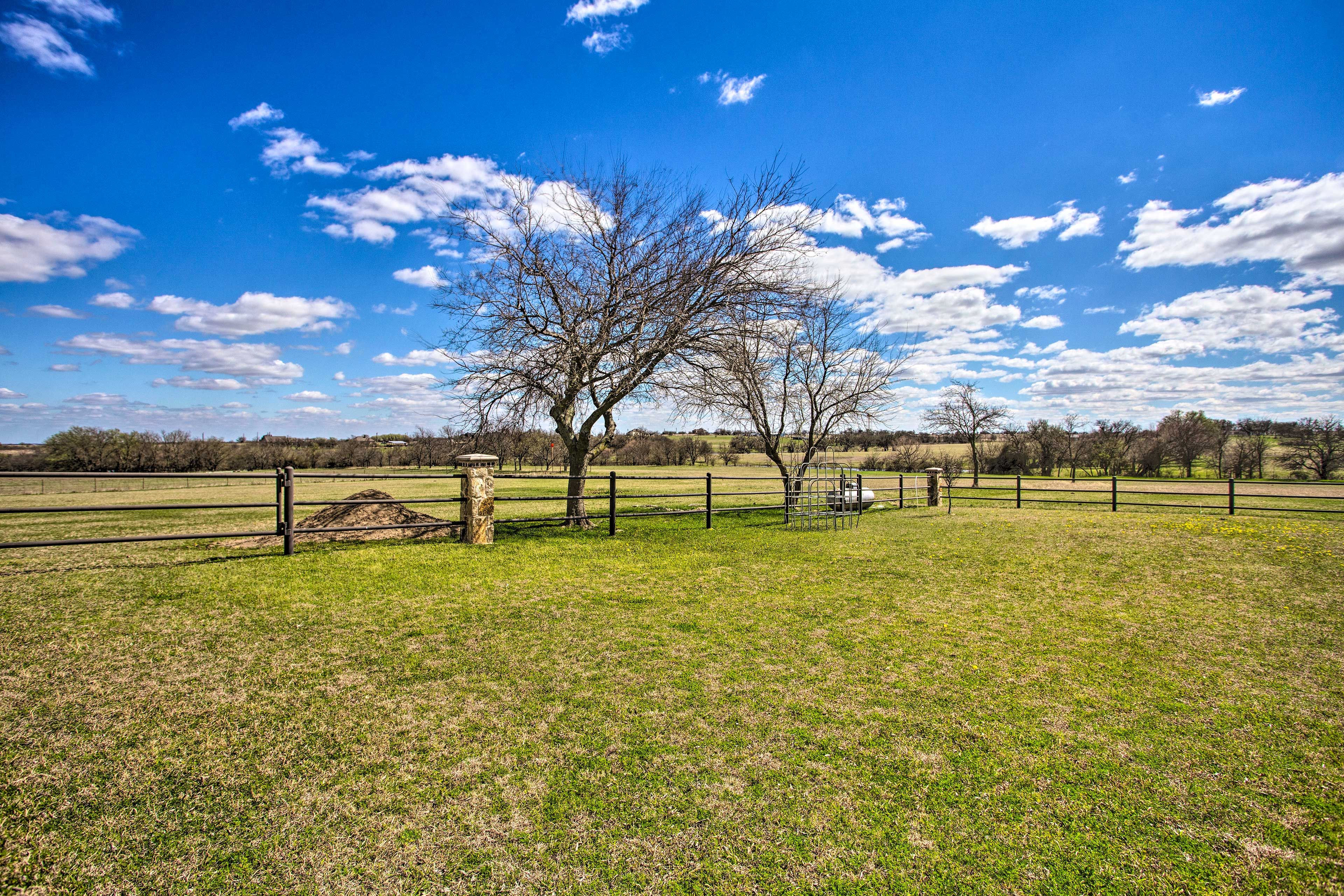 Ranch Property
