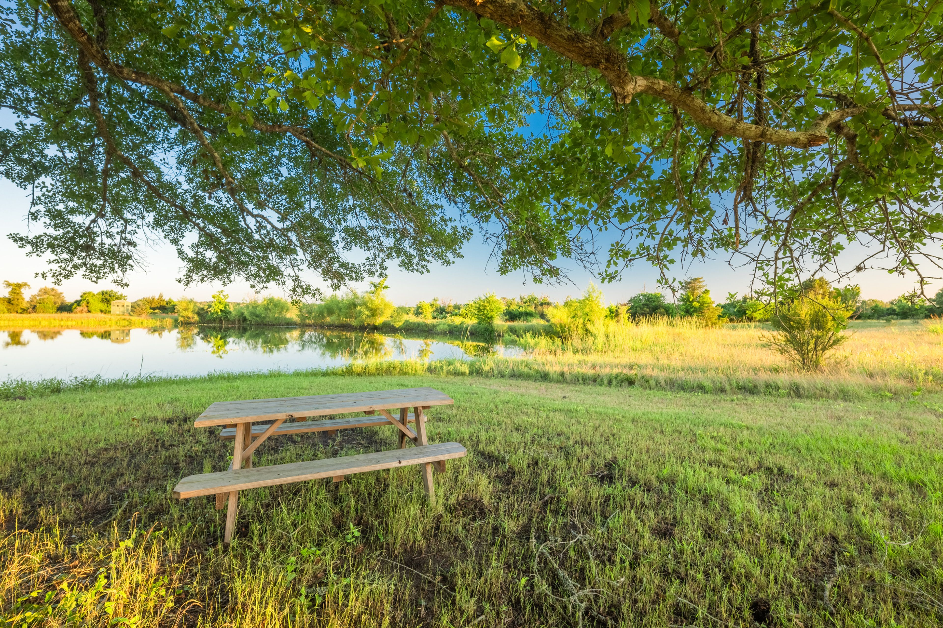 Fishing Pond On-Site | Picnic Area