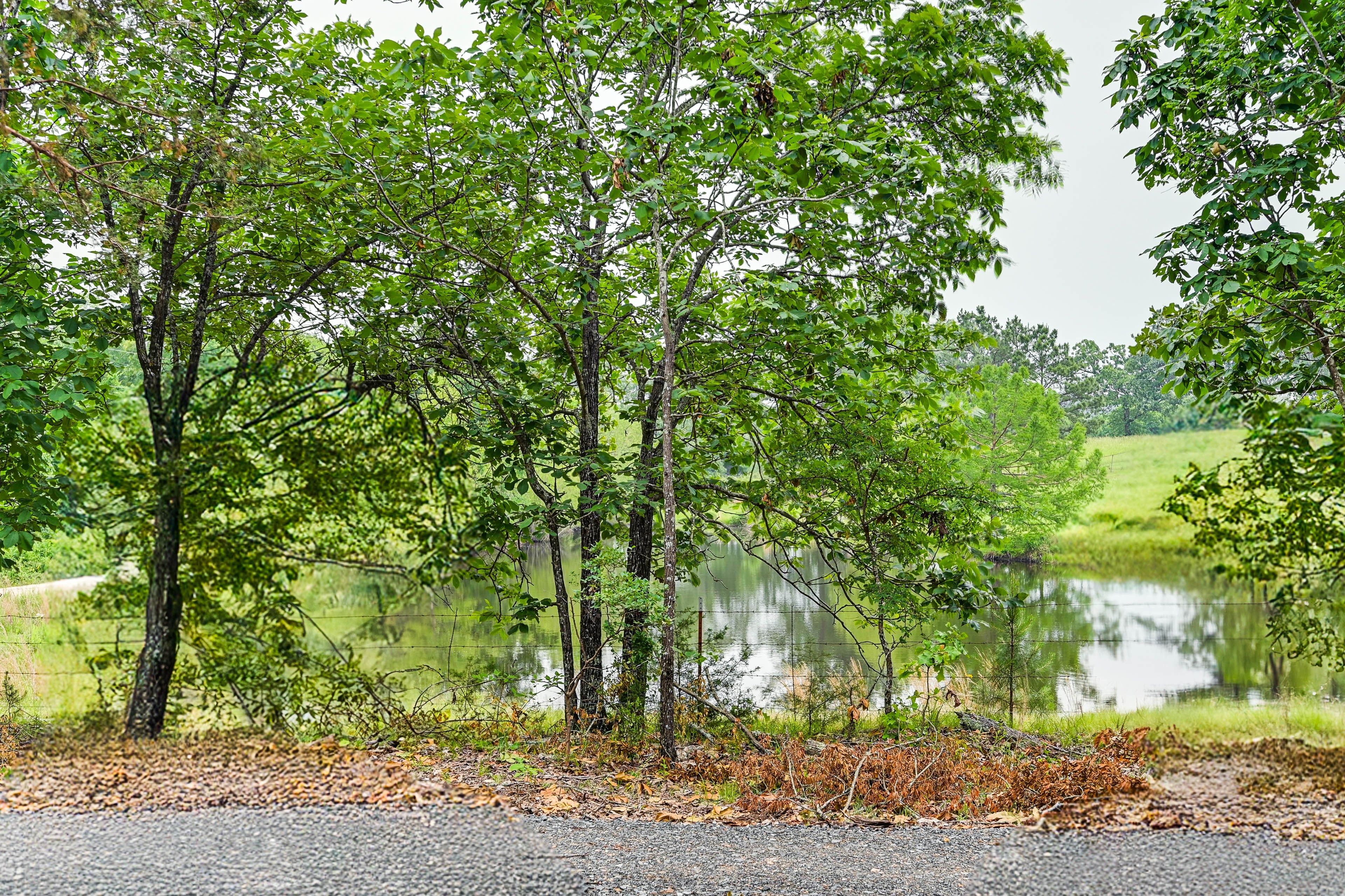 Nearby Creek