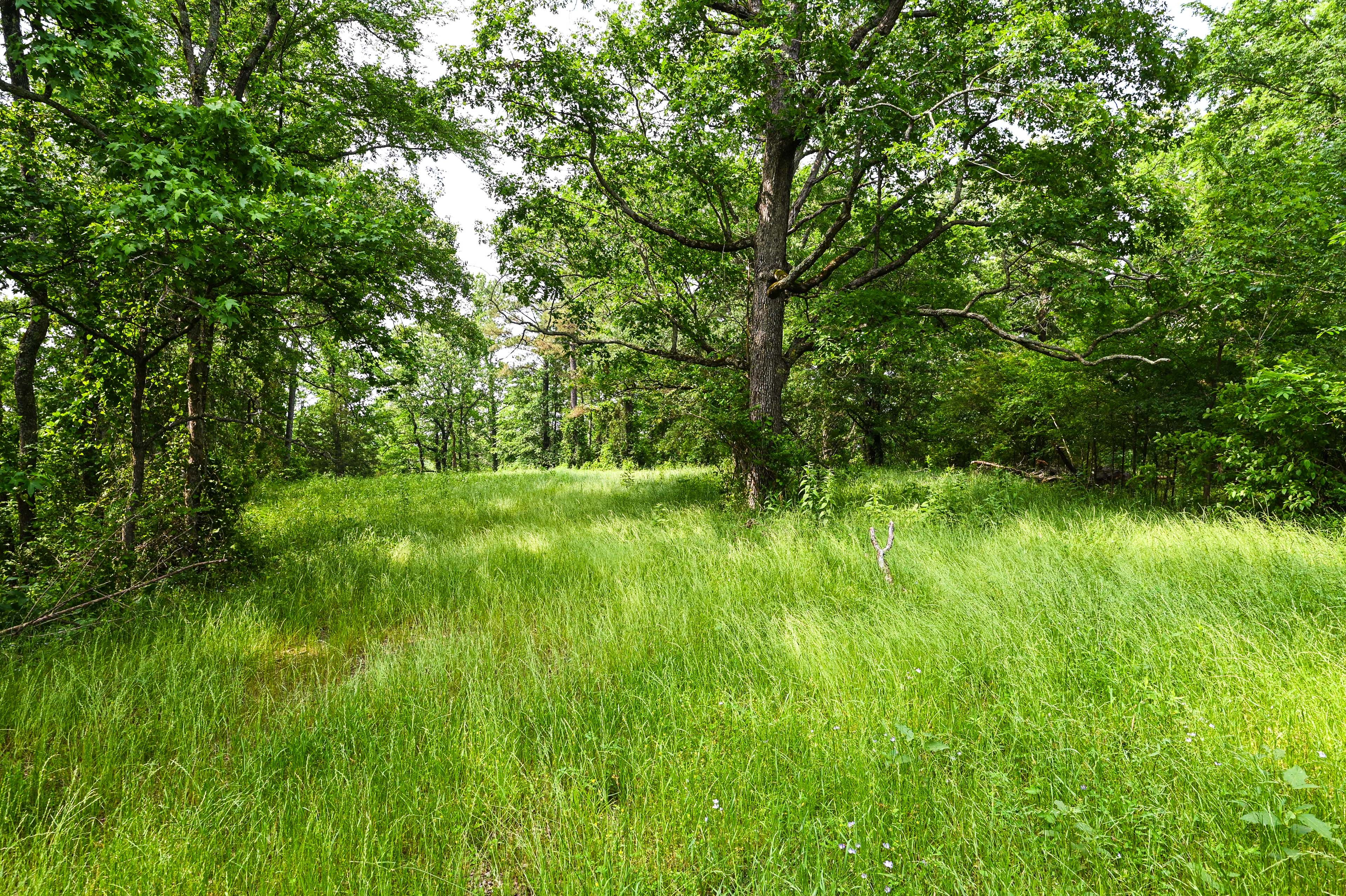 Property Surroundings
