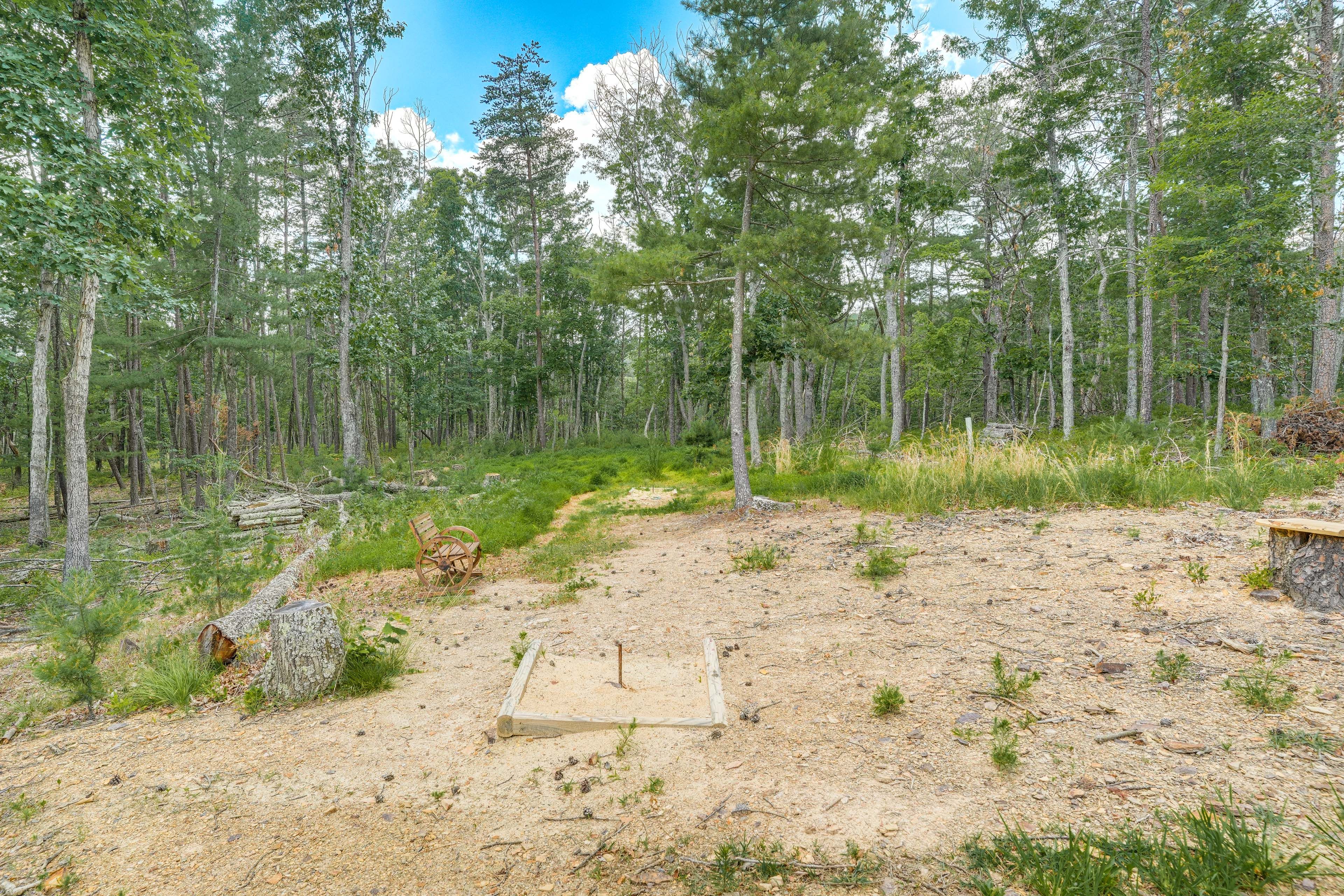 Horseshoes