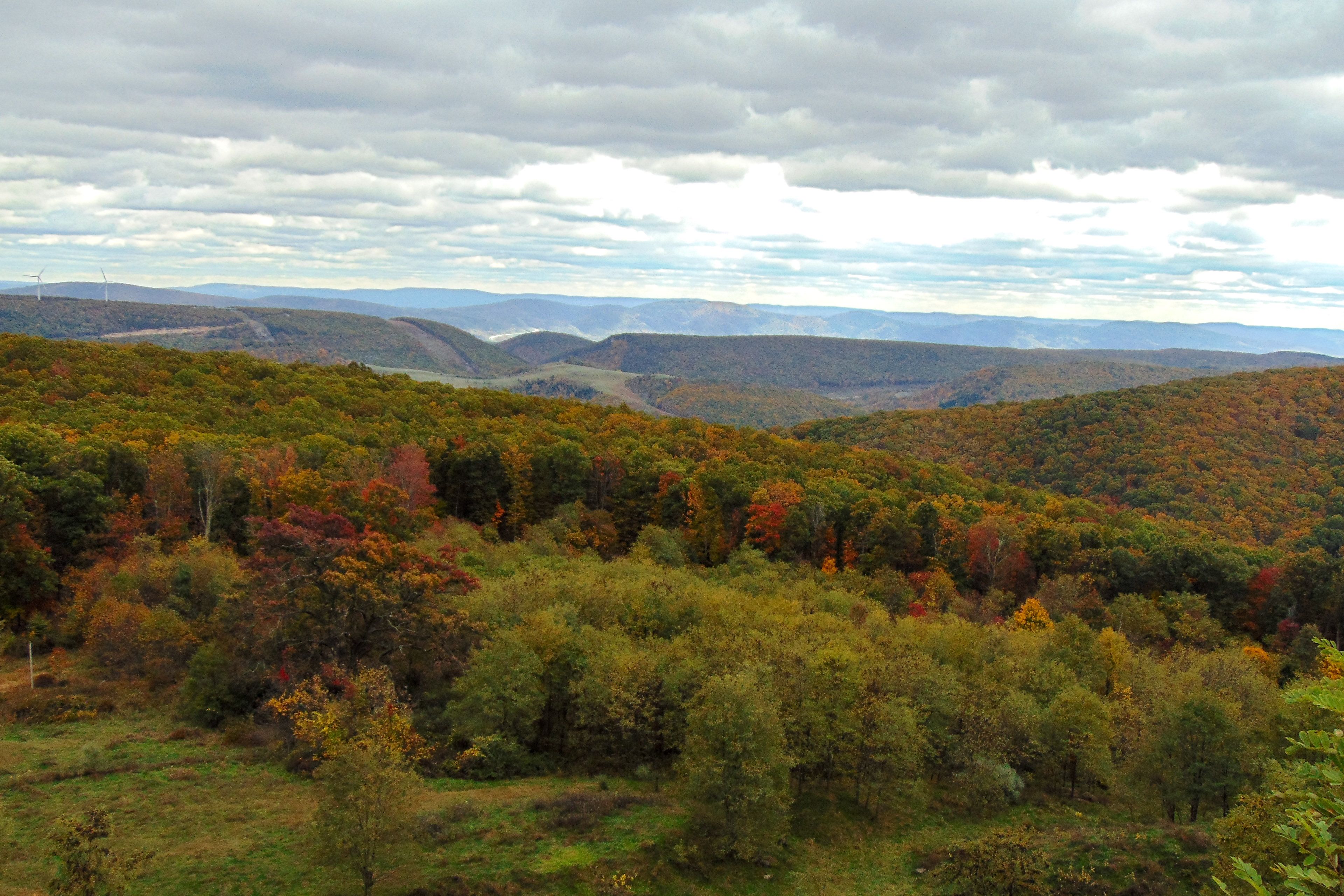 Mountain Views and Fall Foliage | Secluded Experience | < 1/4 Mi to Corridor H