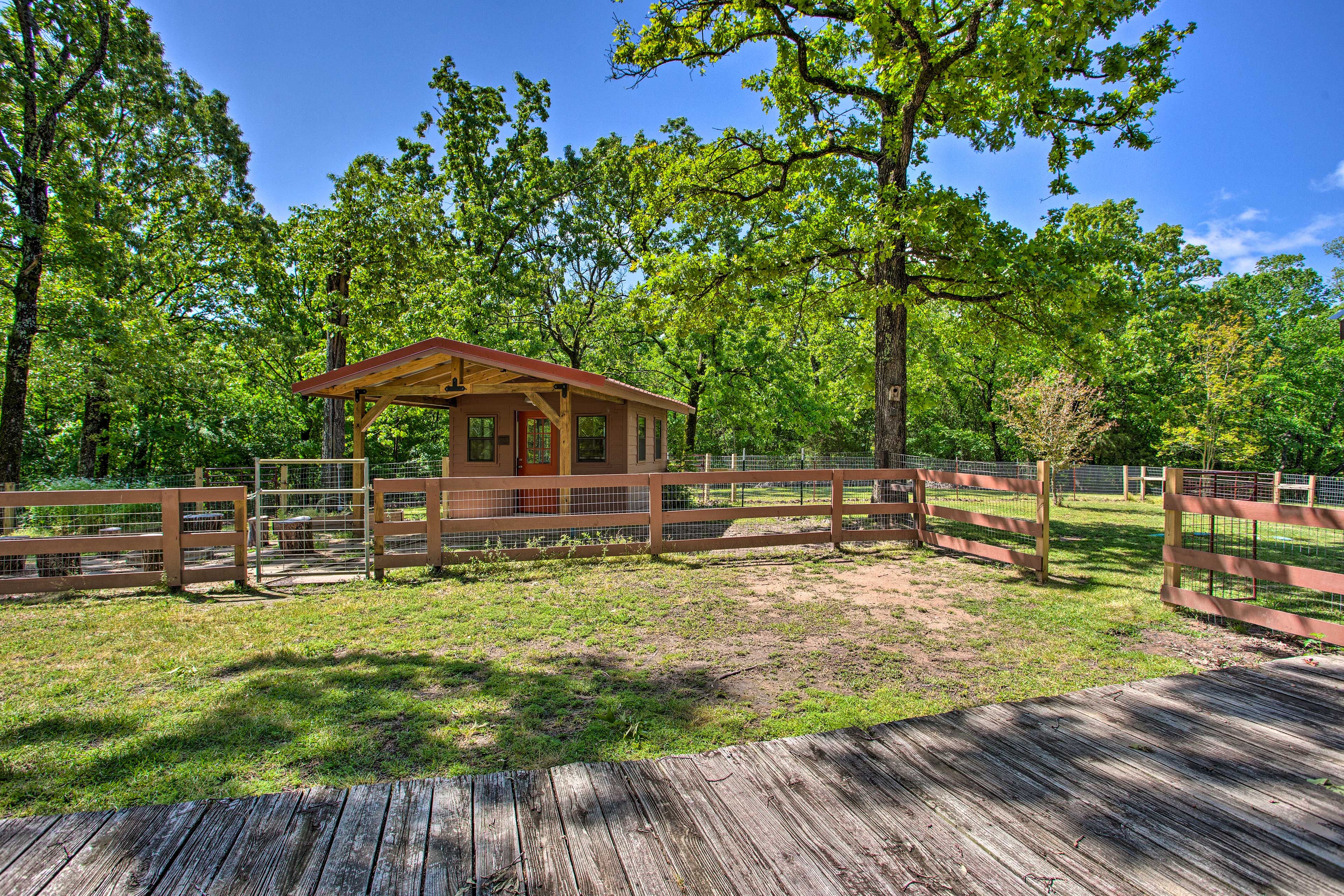 Fenced Yard