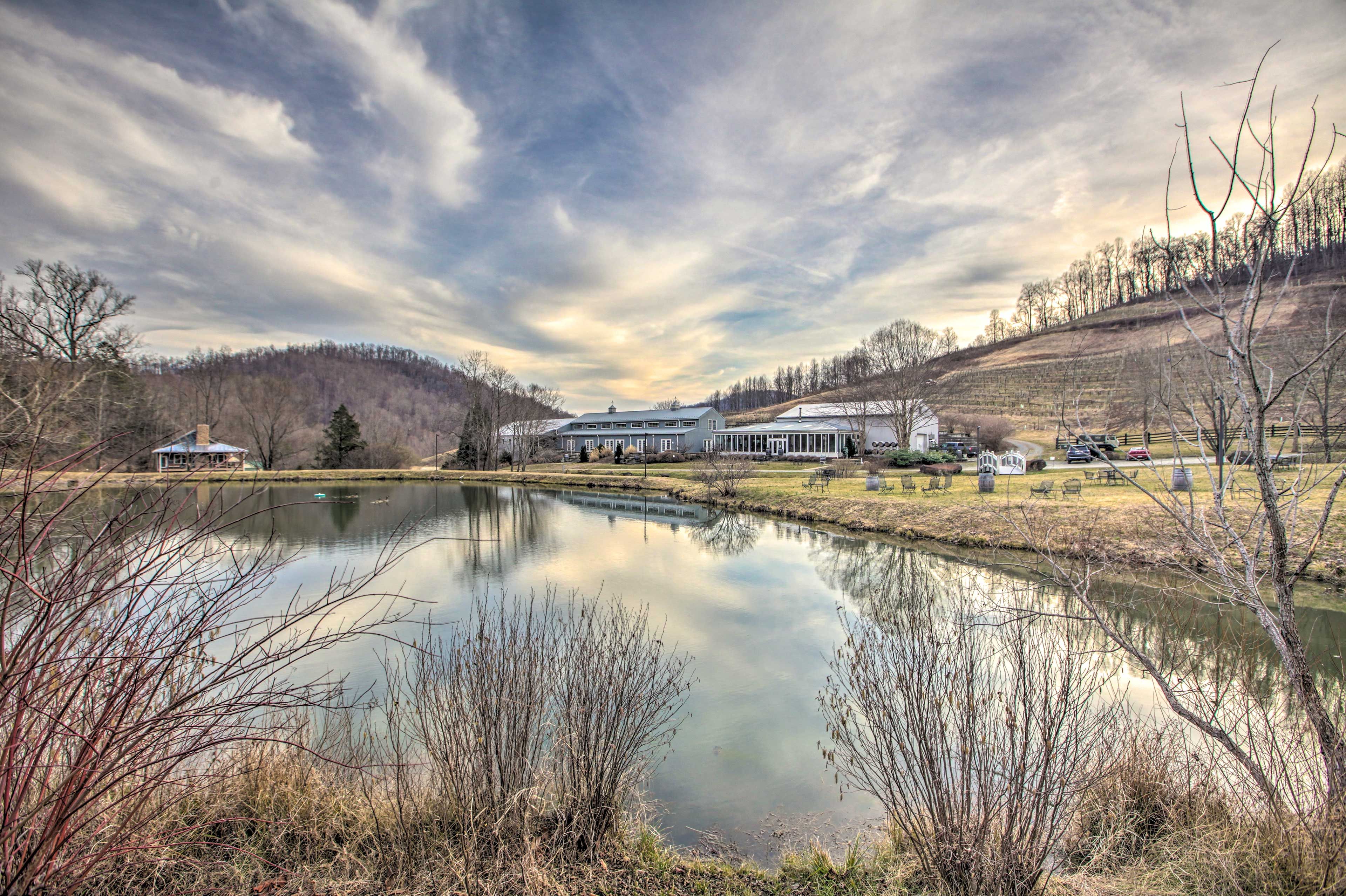 Delfosse Vineyards & Winery