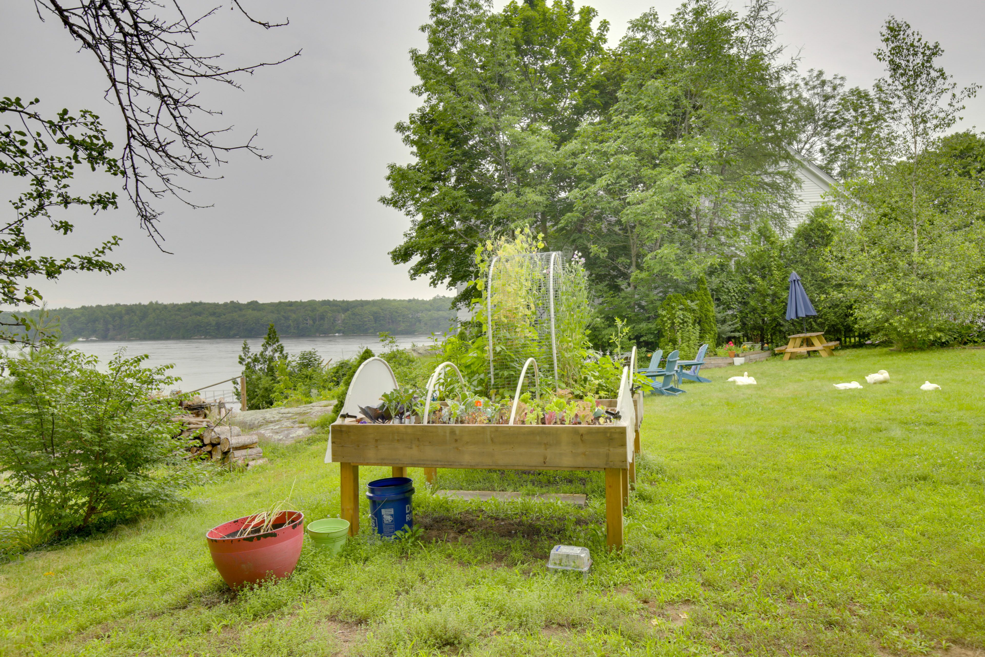 Image 21
