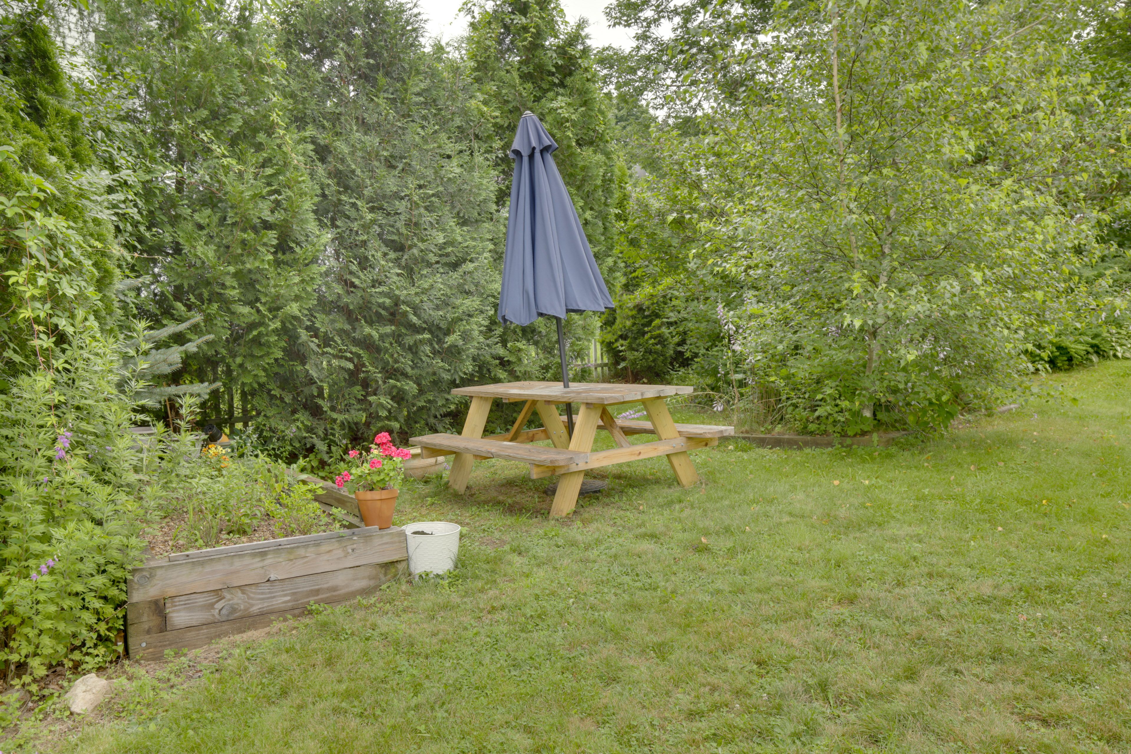 Image 24